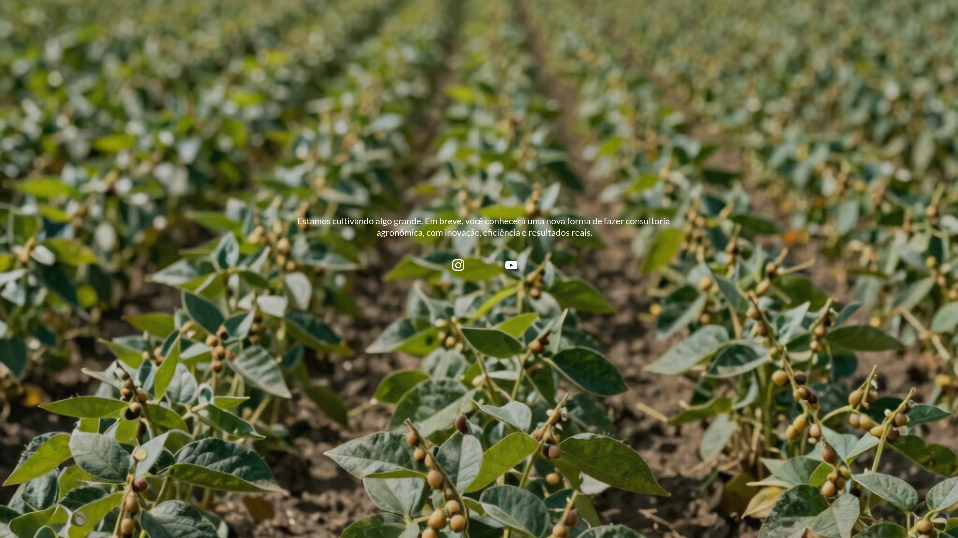 website screenshot of https://mentora.agr.br