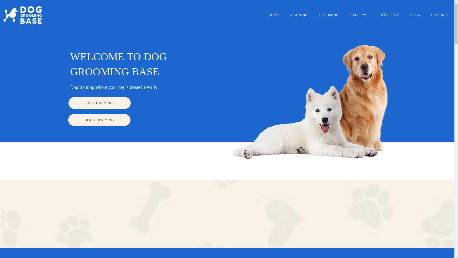 website screenshot of https://doggroomingbase.online/