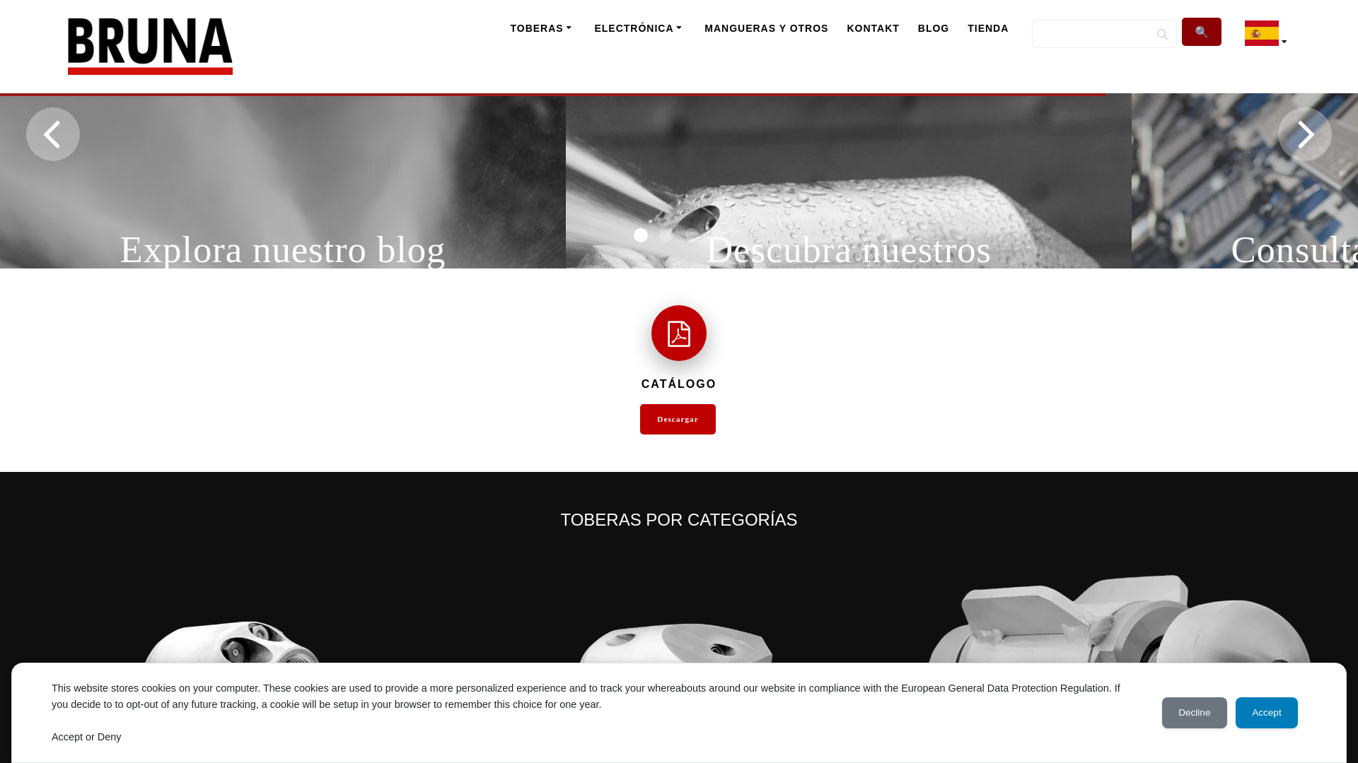 website screenshot of https://dyszebruna.pl/