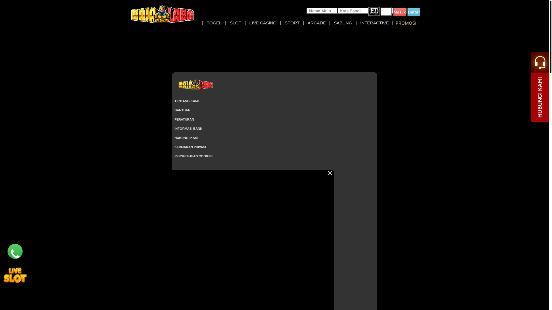 website screenshot of https://rajalabanikmir.xyz/