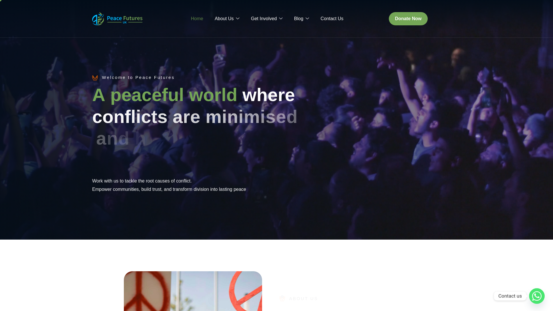 website screenshot of https://peacefutures.org.uk