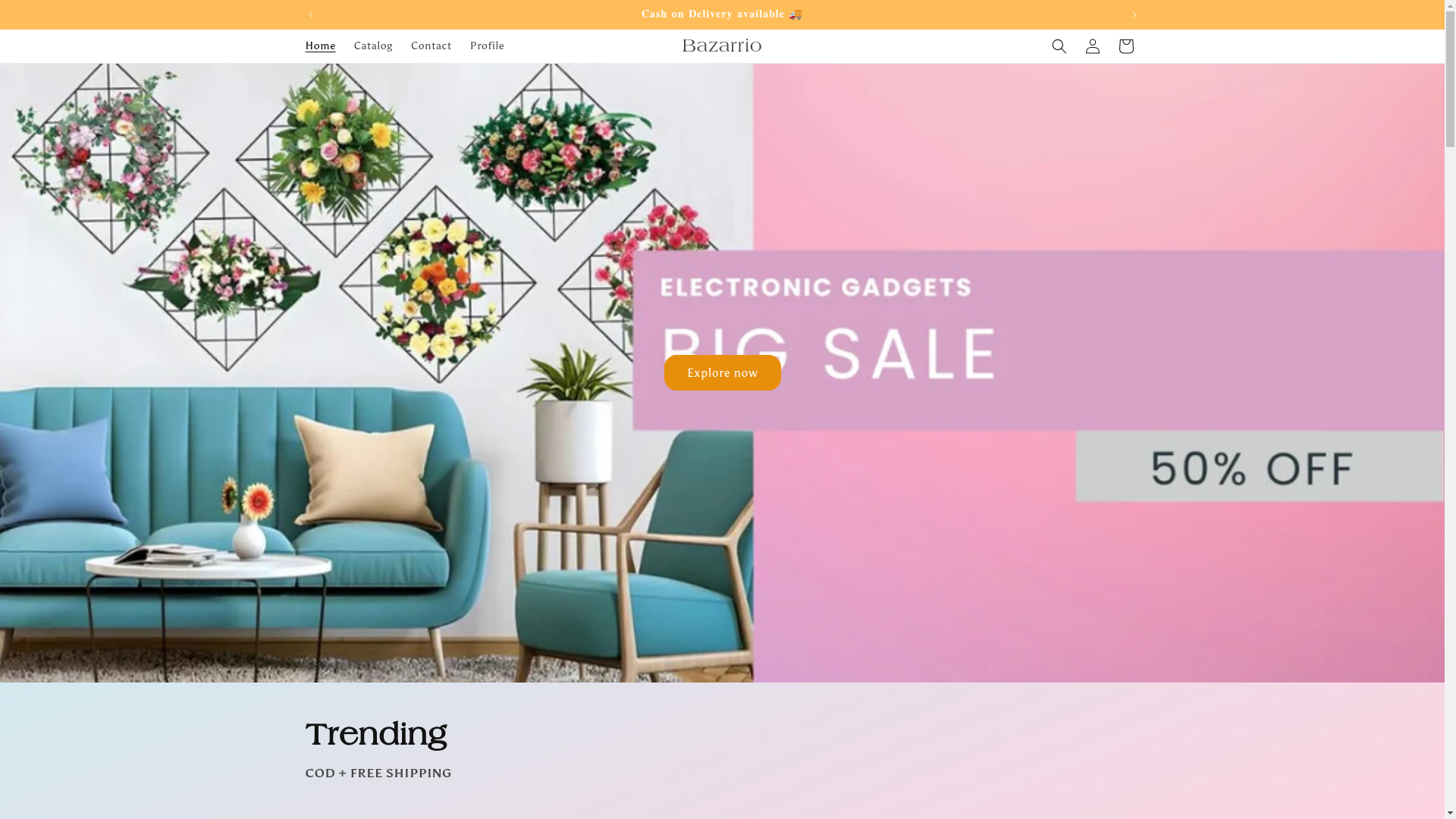 website screenshot of https://bazarriokart.shop/
