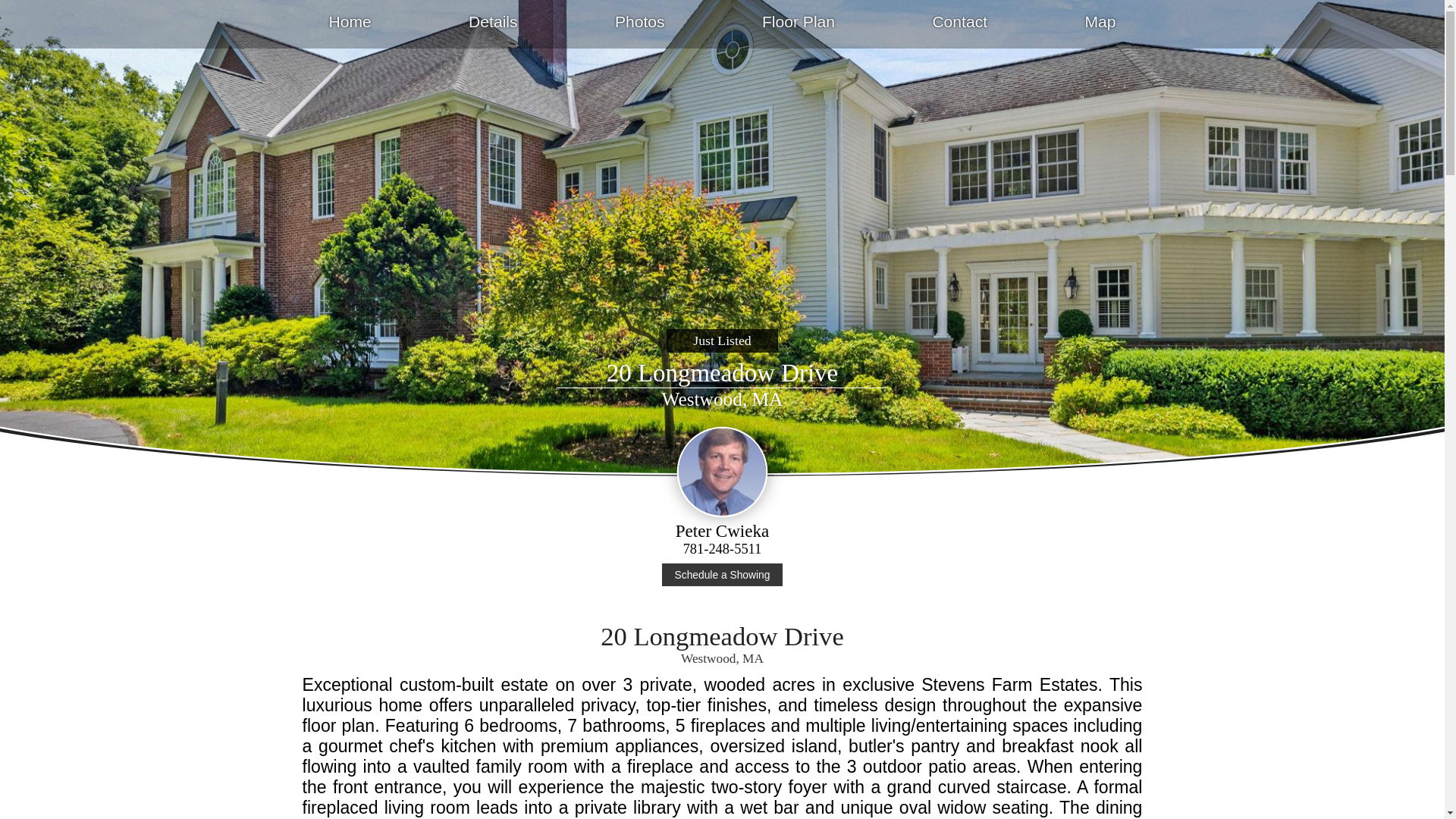 website screenshot of https://20longmeadowdrive.com/