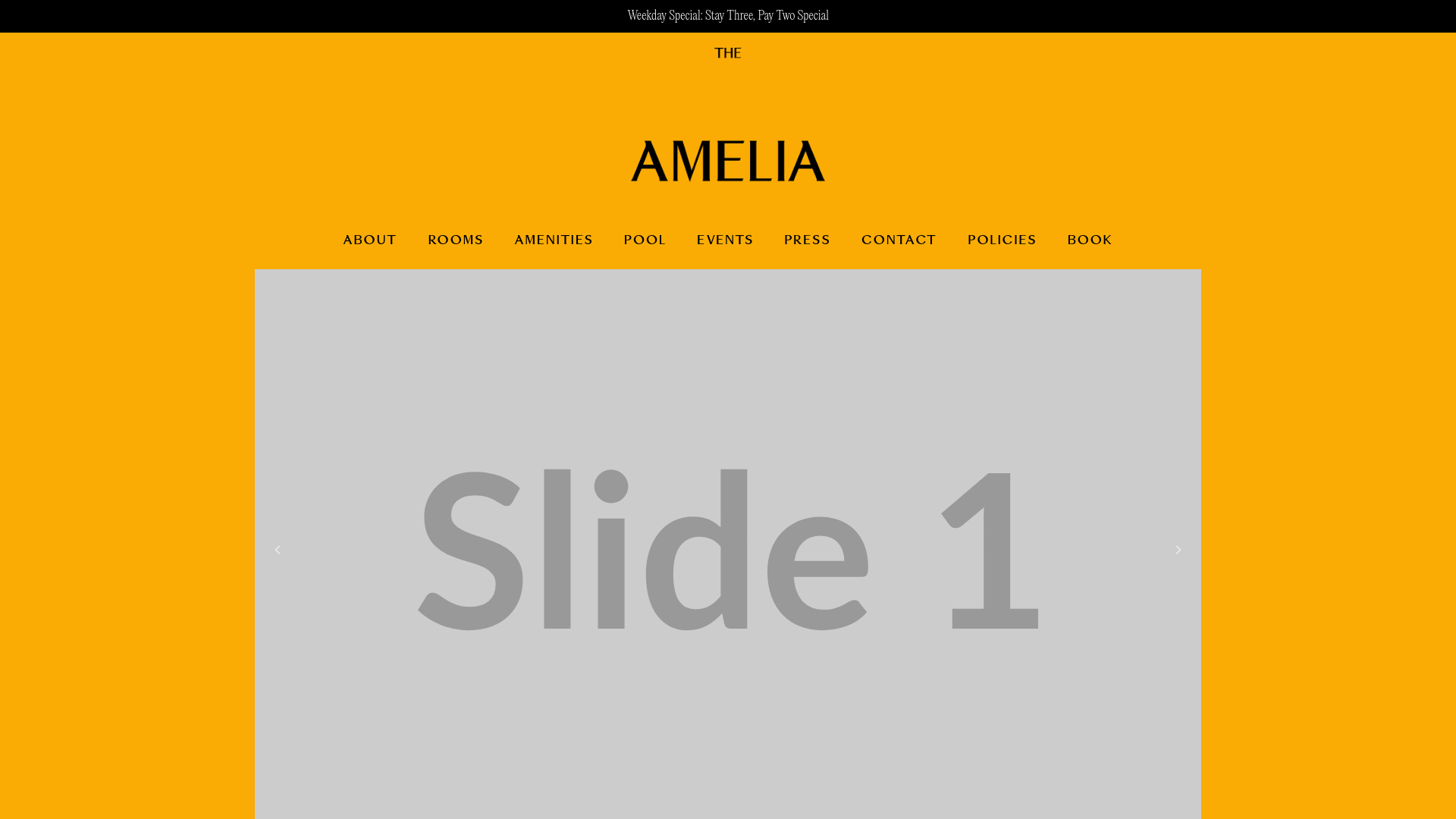 website screenshot of https://theameliahudson.pages.dev/