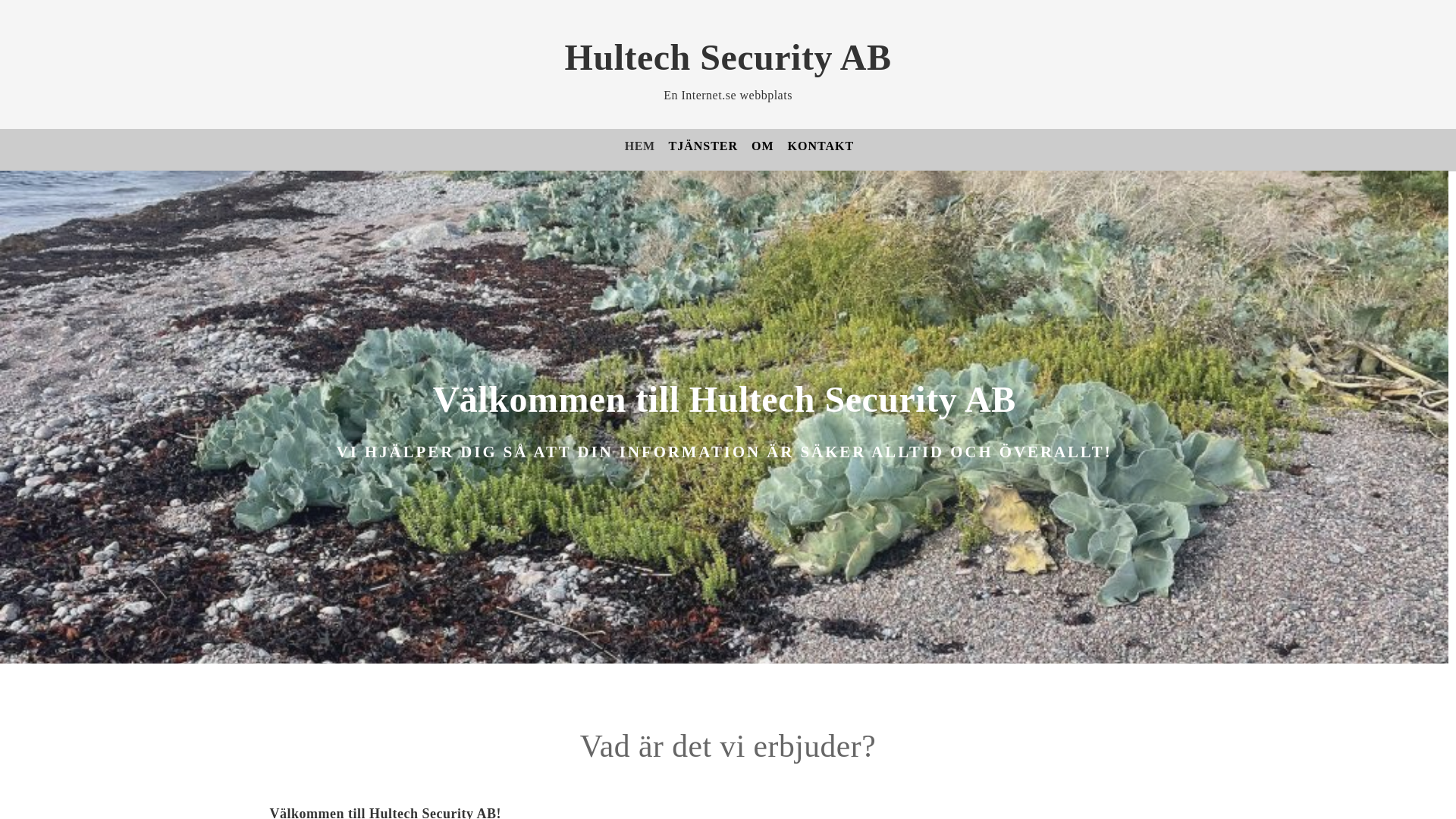 website screenshot of https://hultechsecurity.se/