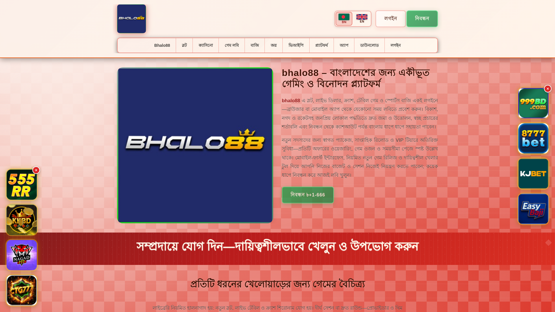 website screenshot of https://bhalo88tin.com/