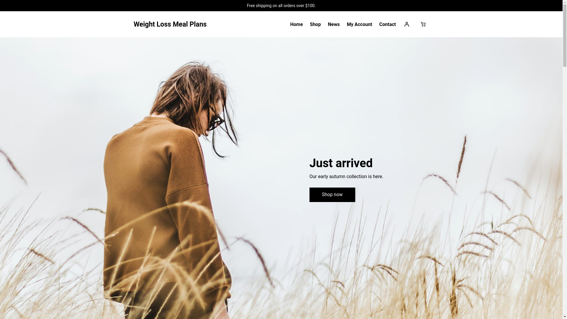 website screenshot of https://weightlossmealplans.co.nz/