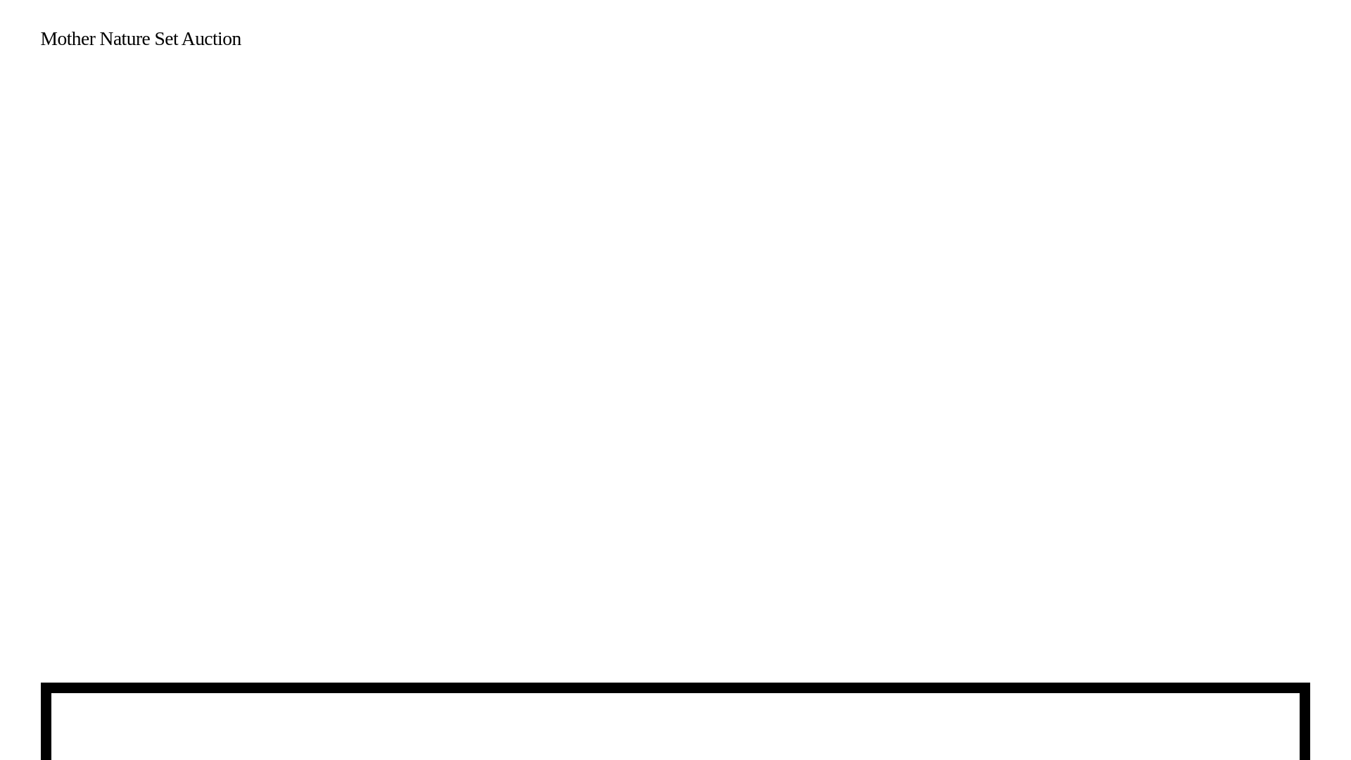 website screenshot of https://mothernaturesetauction.com/