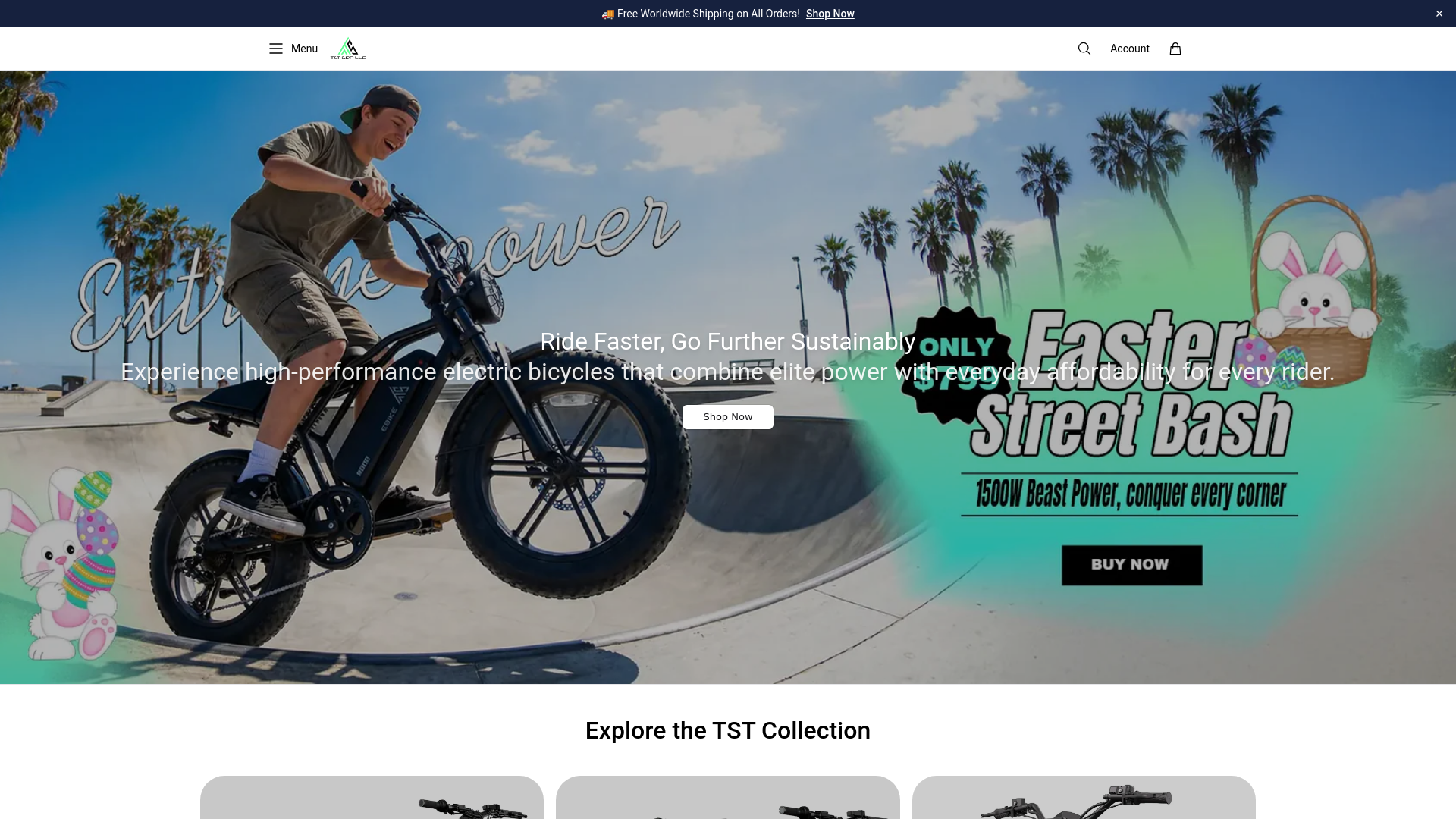 website screenshot of https://tstebikehq.shop