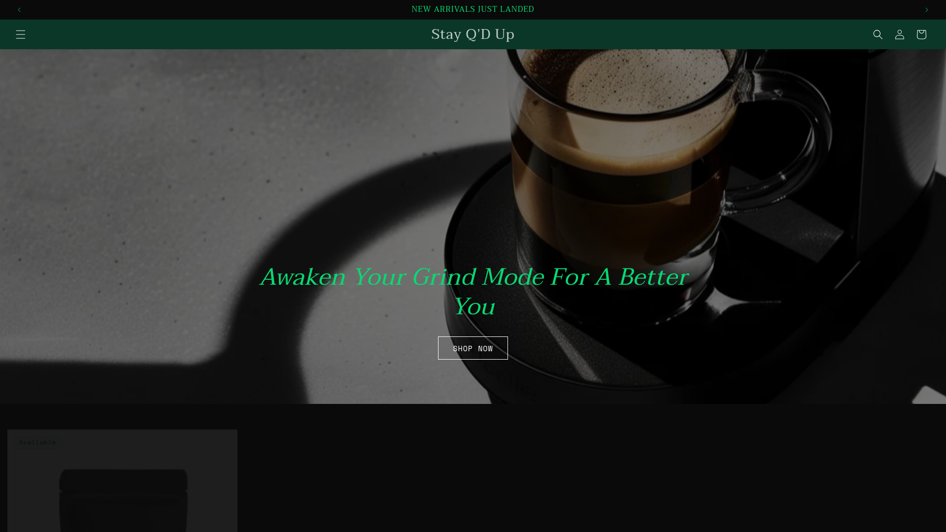 website screenshot of https://stayqdup.com/