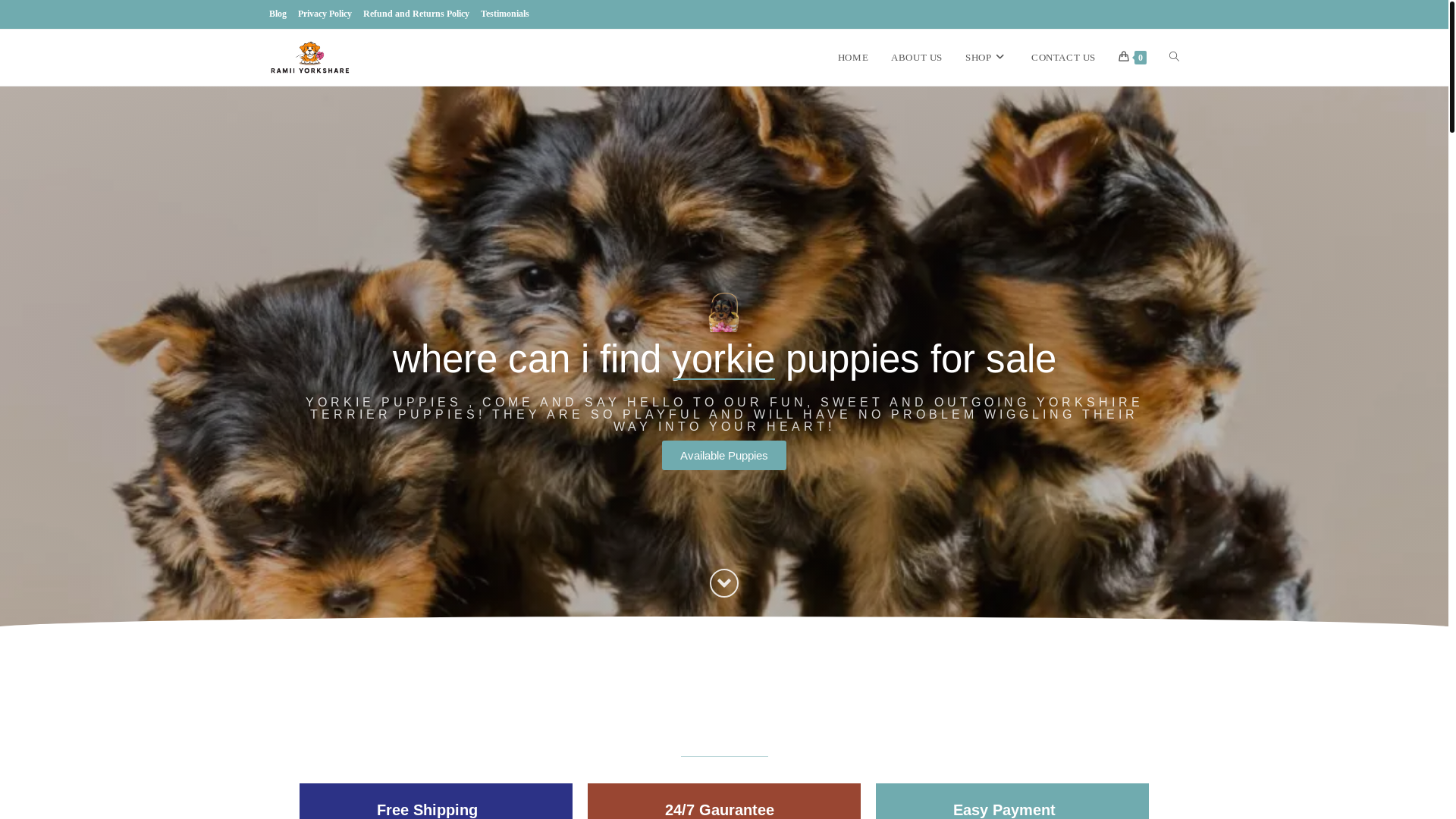 website screenshot of https://ramziiyorkshare.store/