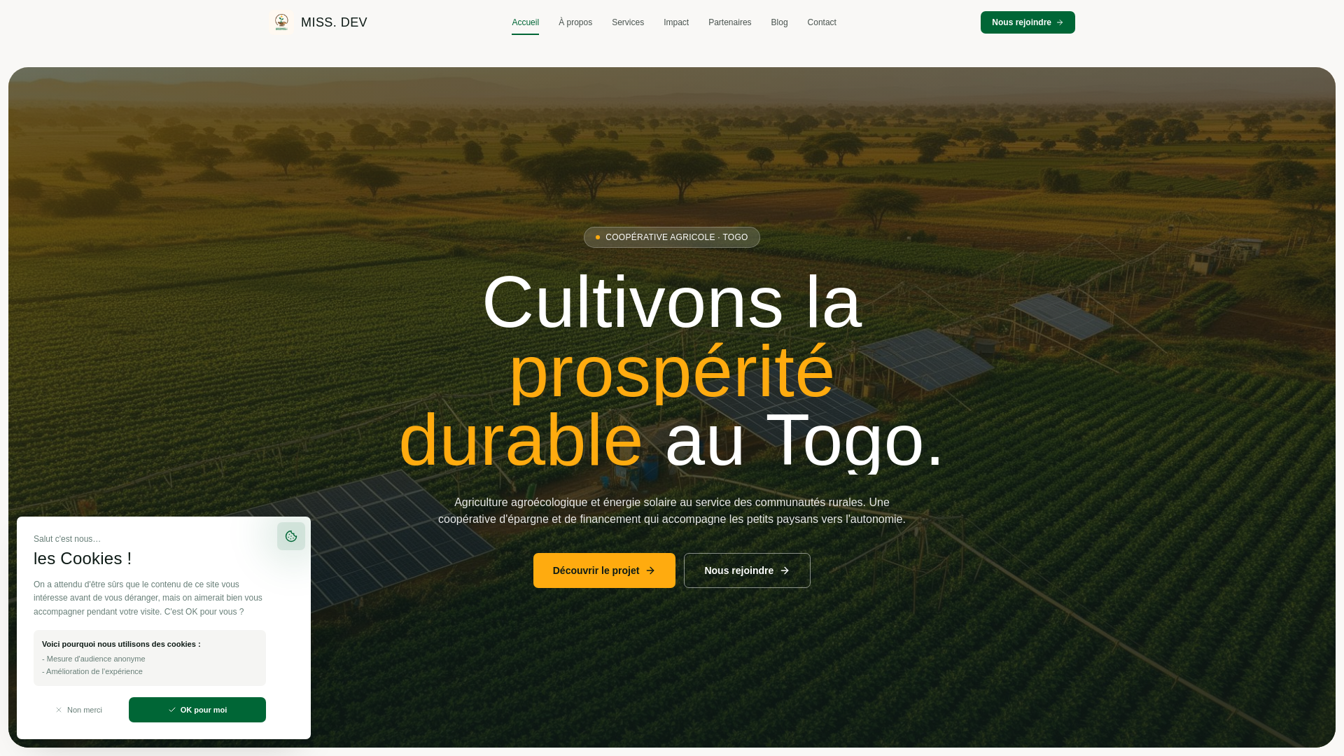 website screenshot of https://missionnaires-dev.org/