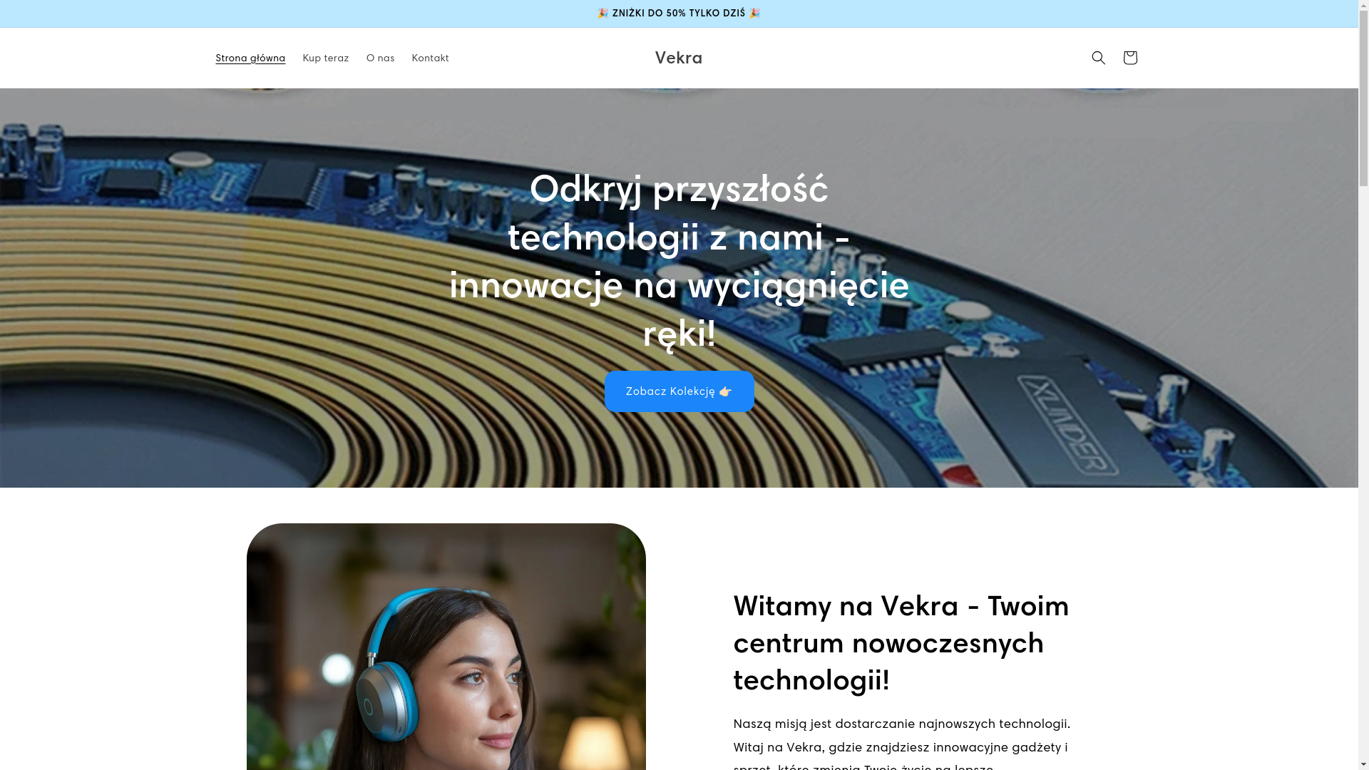website screenshot of https://vekra.pl/