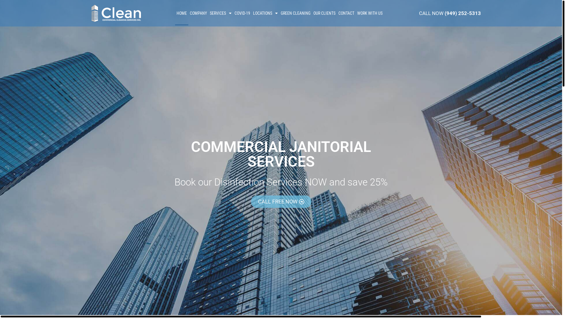 website screenshot of https://connectwithicleancorp.com/