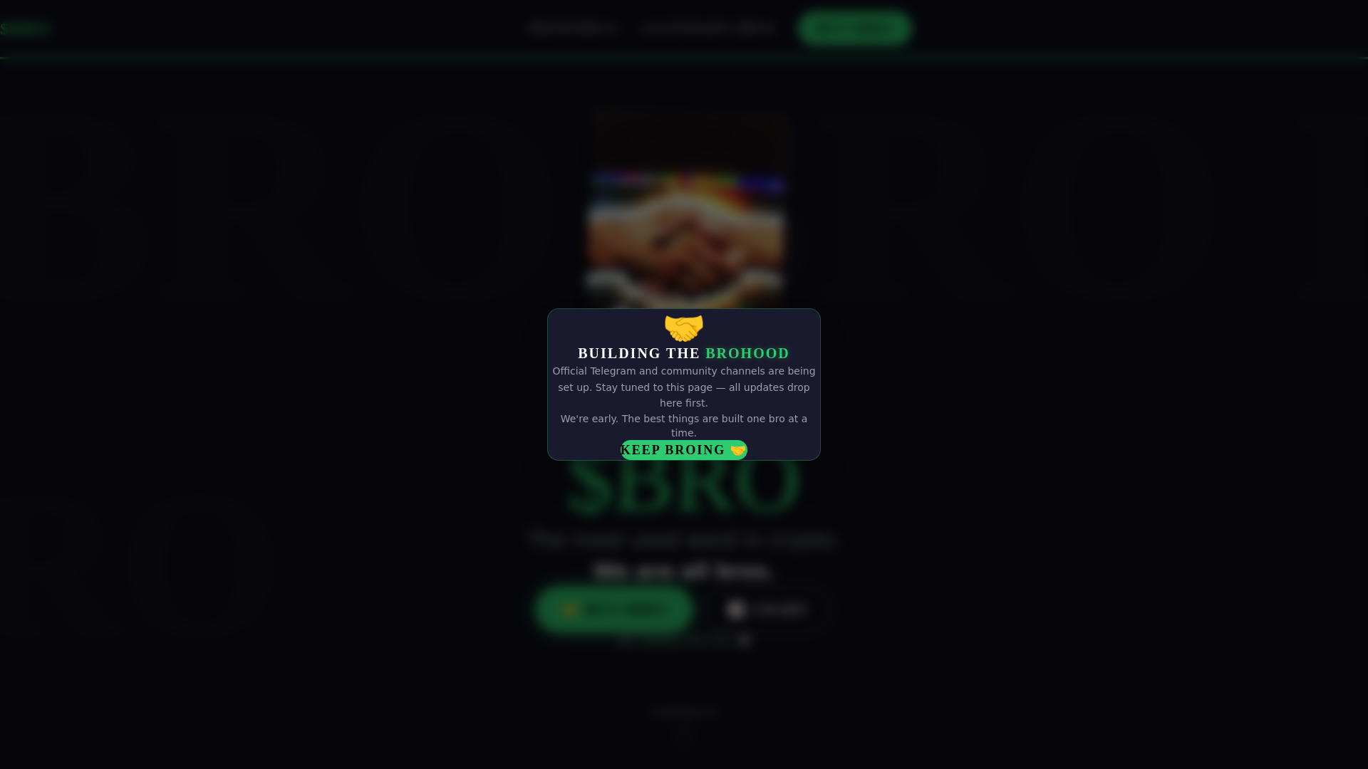 website screenshot of https://brotoken.wtf/