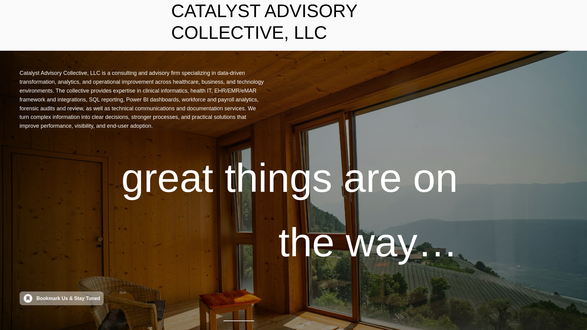 website screenshot of https://catalystadvisorycollective.com/