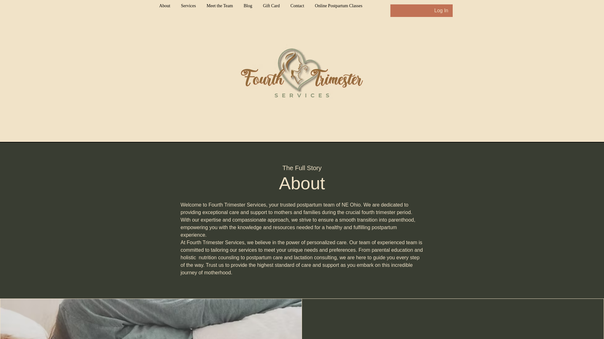 website screenshot of https://fourthtrimesterservice.com