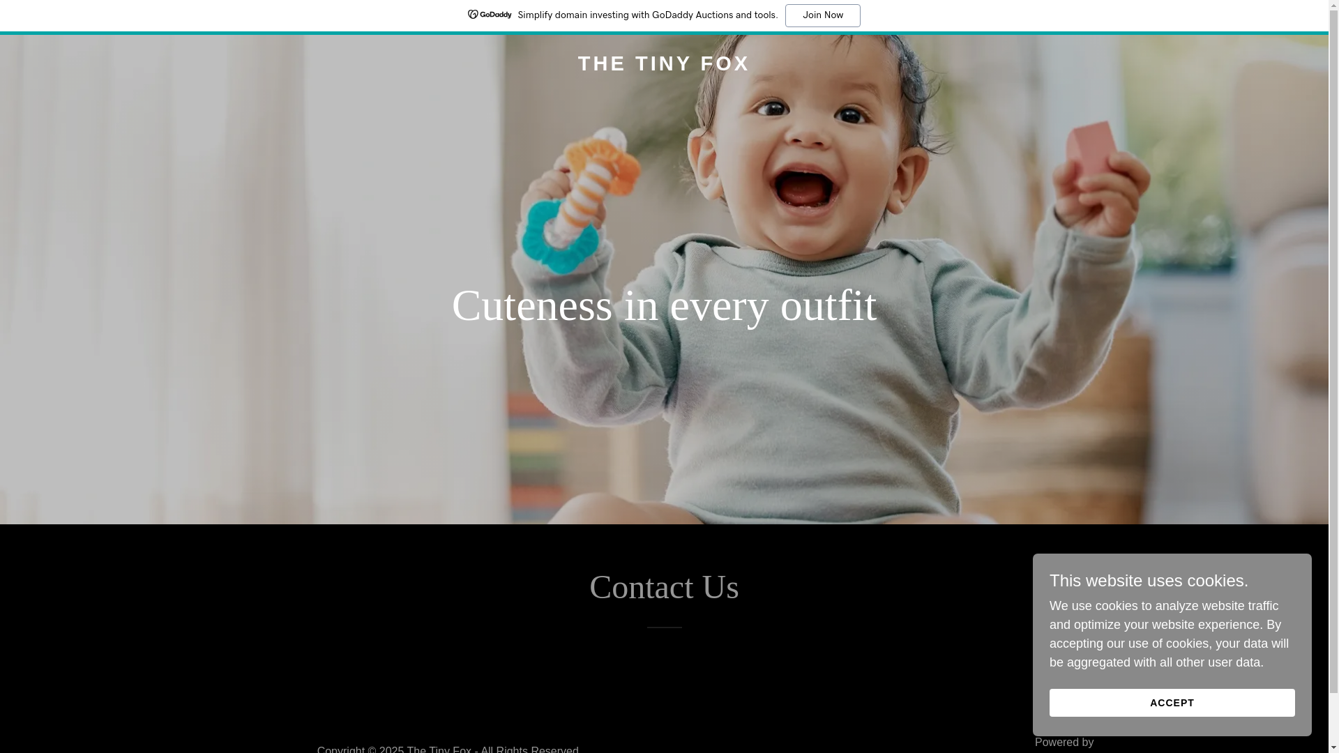 website screenshot of https://thetinyfox.in/