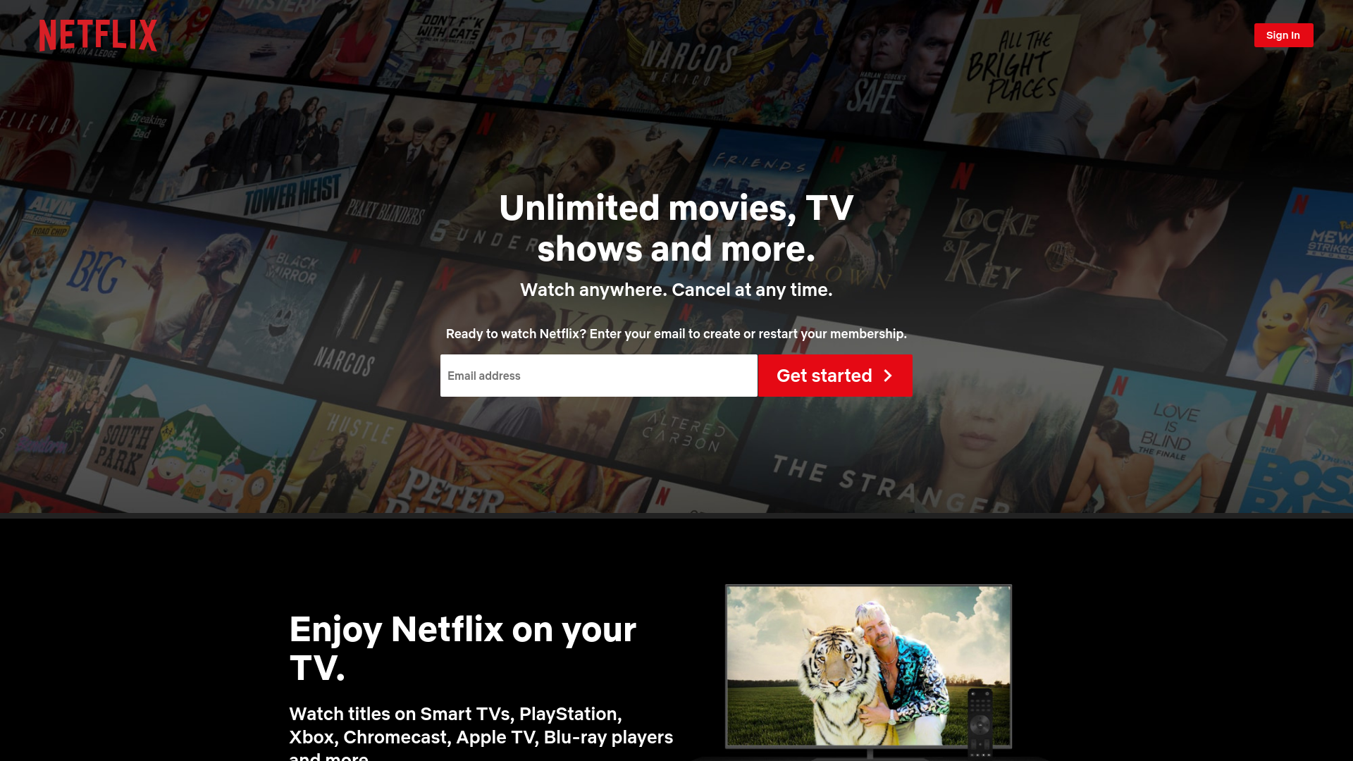 website screenshot of https://notreallynetflix.vercel.app