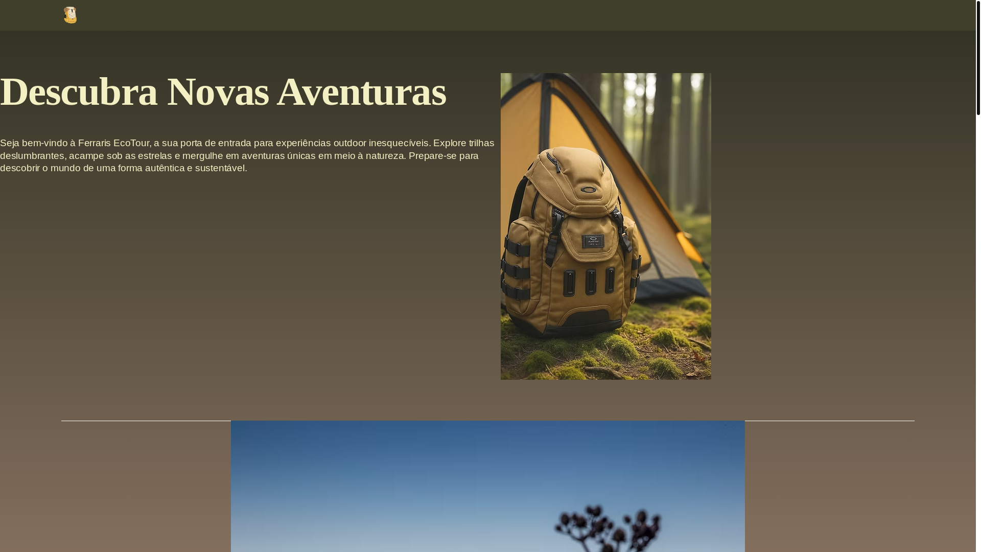 website screenshot of https://ferrarisecotour.com.br/