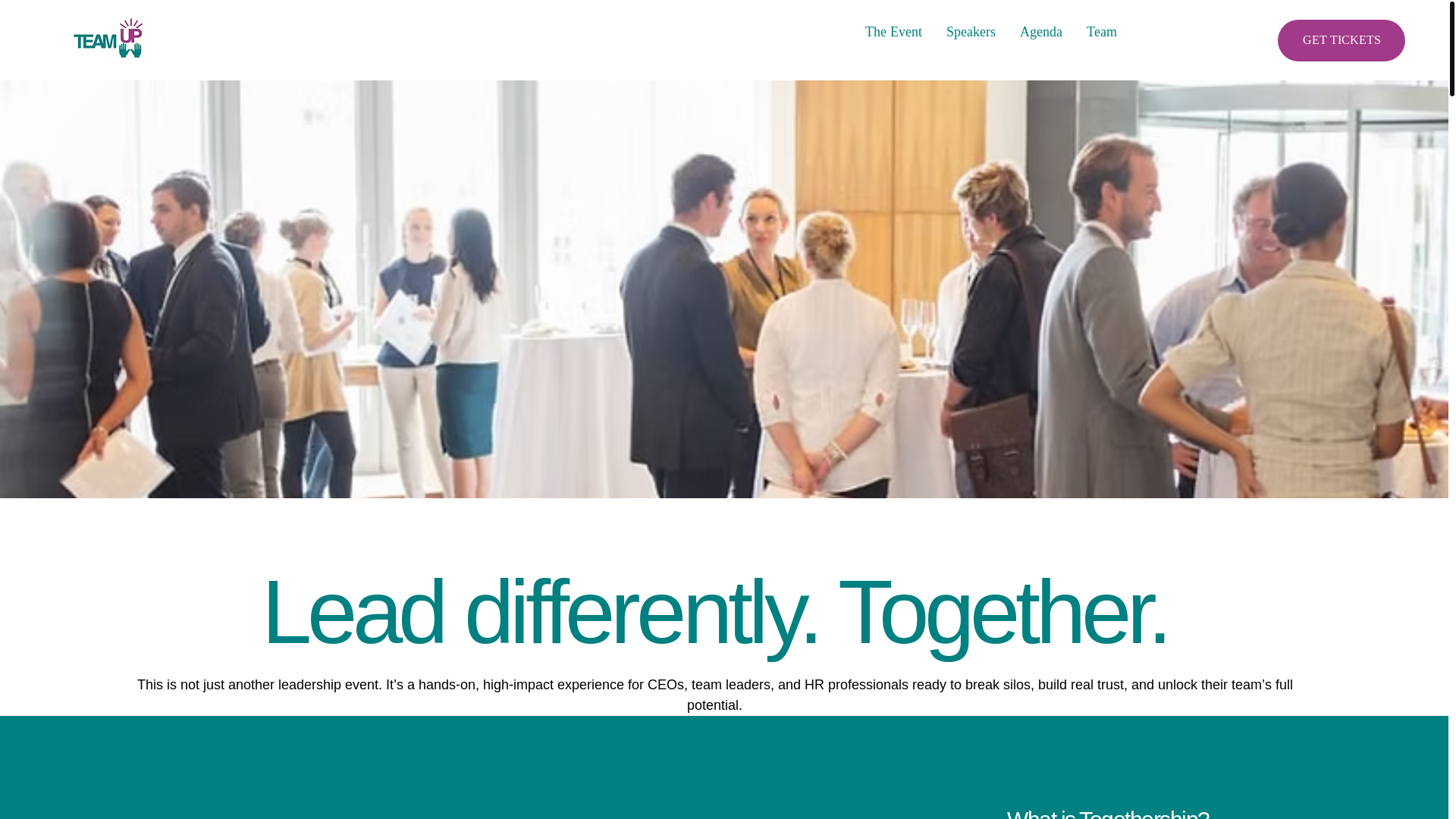 website screenshot of https://teamup-zurich.ch/