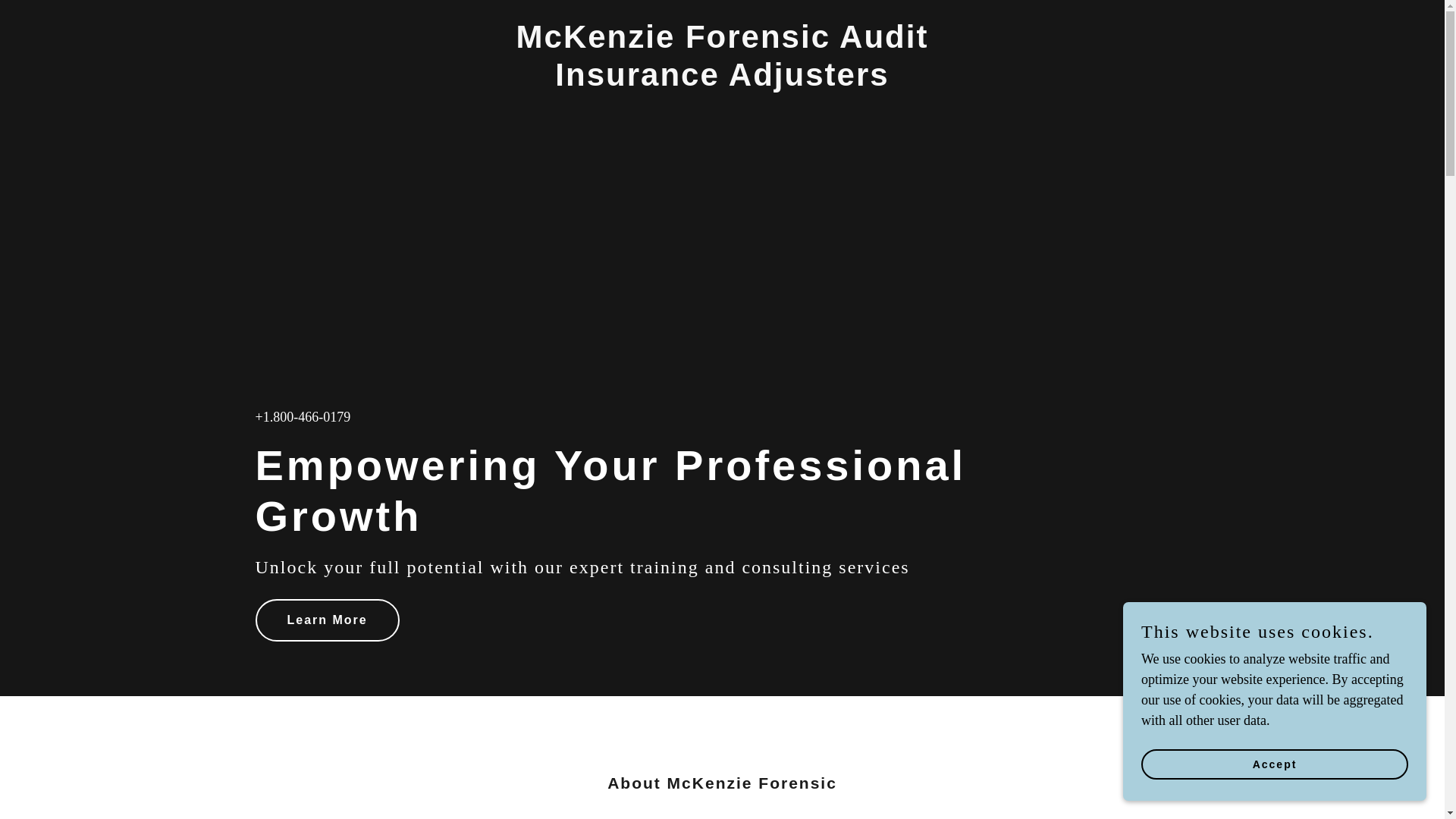 website screenshot of https://forensic-audit-insurance-adjusters.com/