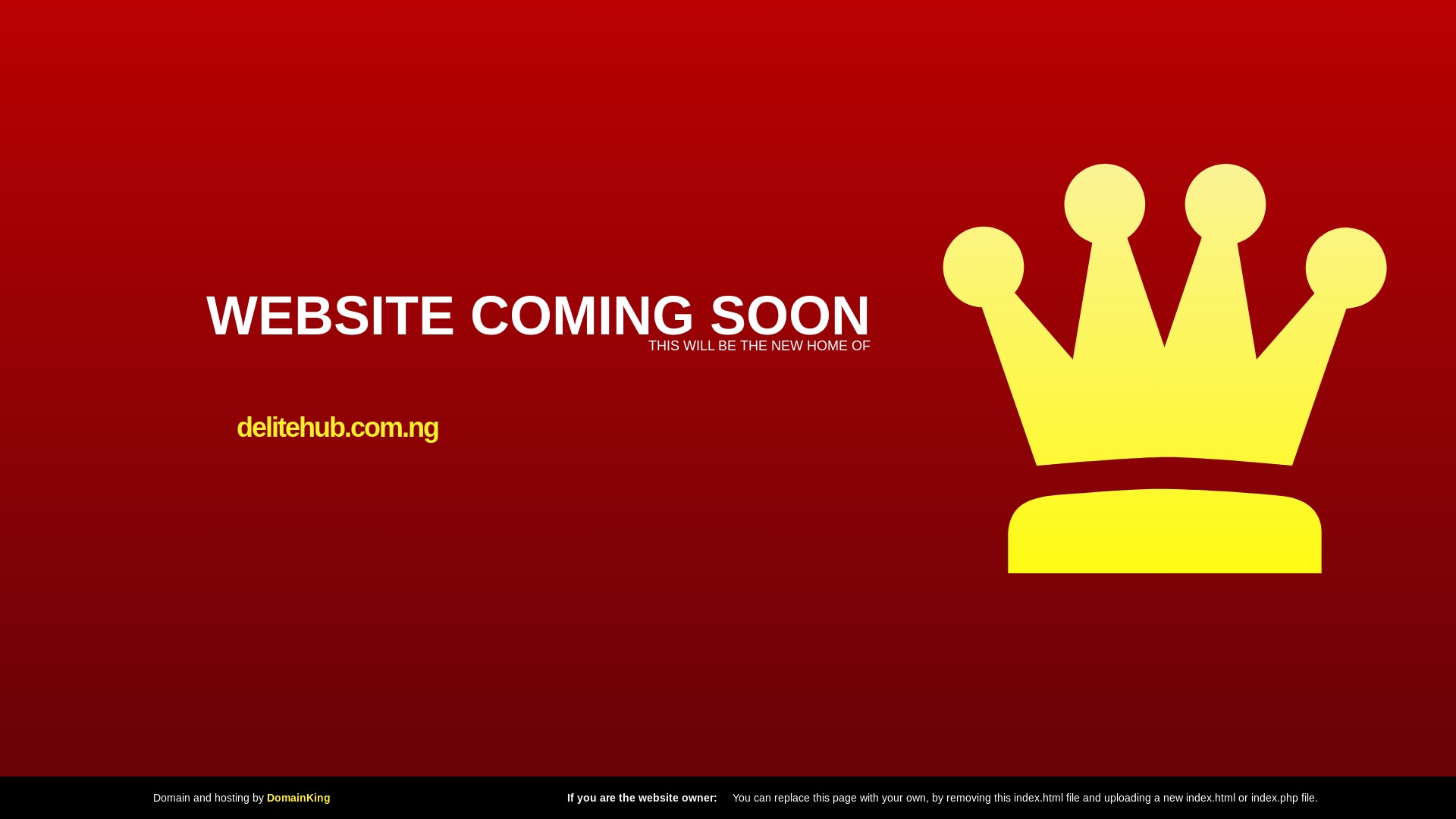 website screenshot of https://delitehub.com.ng/