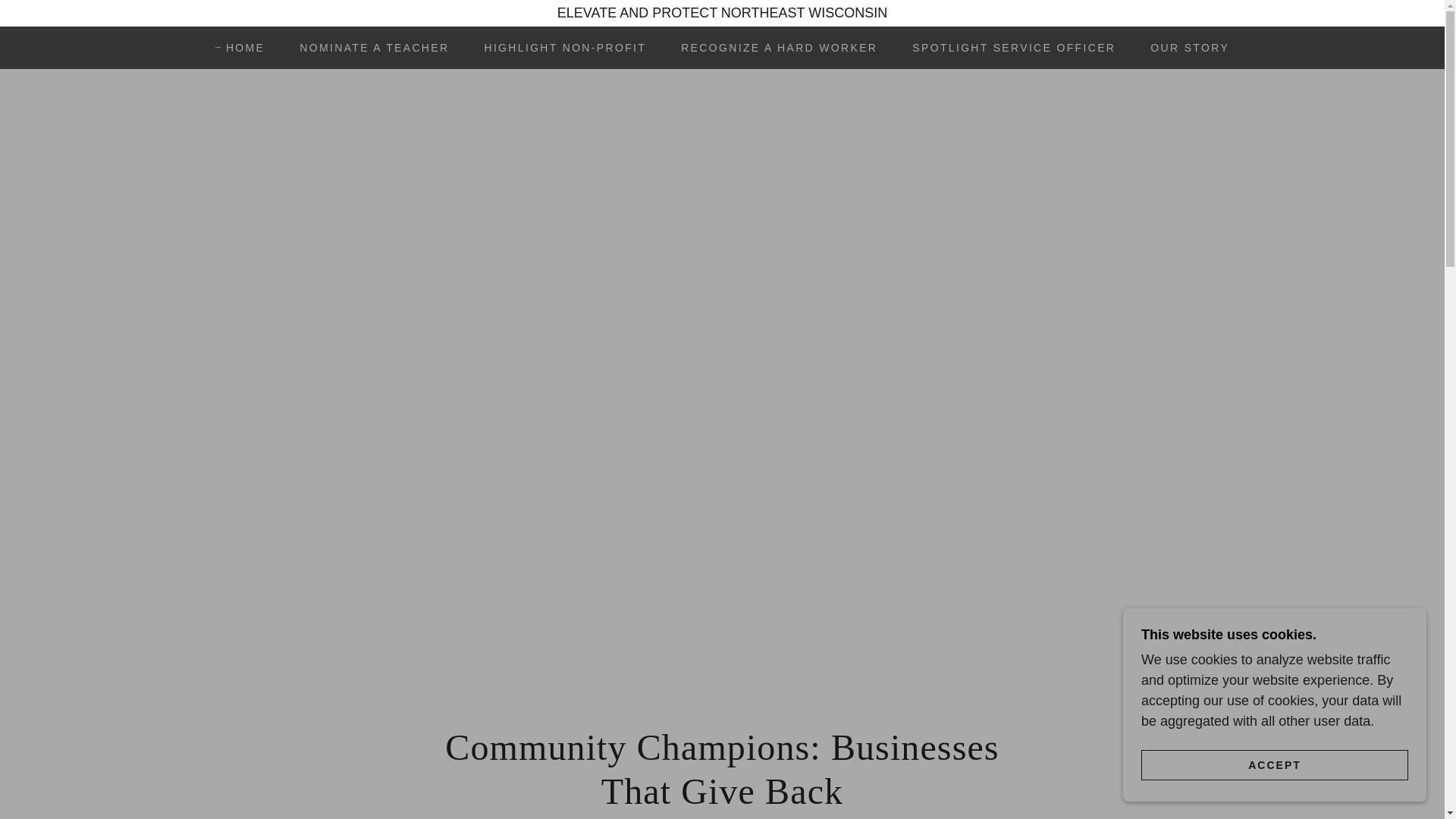 website screenshot of https://elevateandprotect.com/