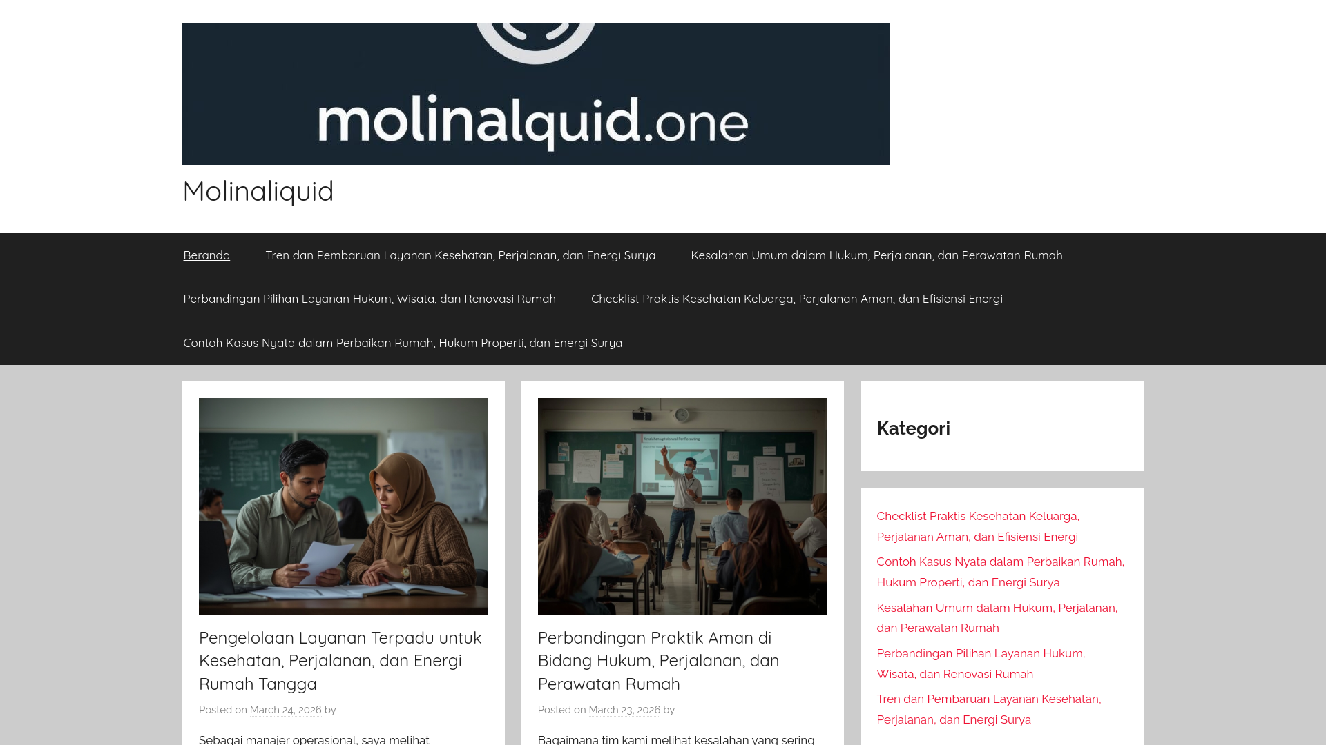 website screenshot of https://molinaliquid.one/
