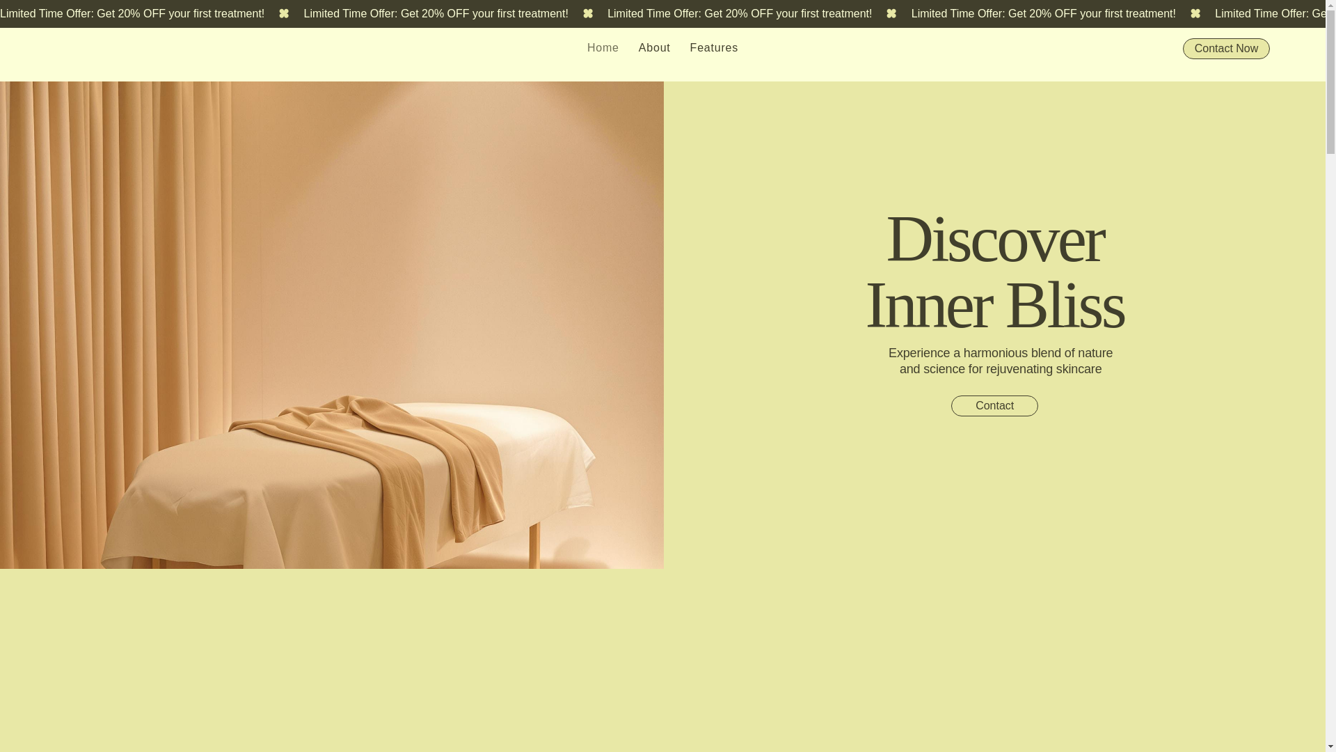 website screenshot of https://nirvanablisssspa.com/