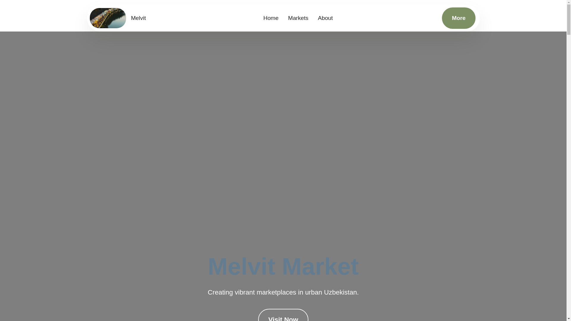 website screenshot of https://melvitranodoxavira.info/
