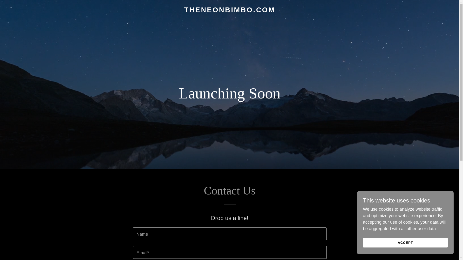 website screenshot of https://theneonbimbo.com/