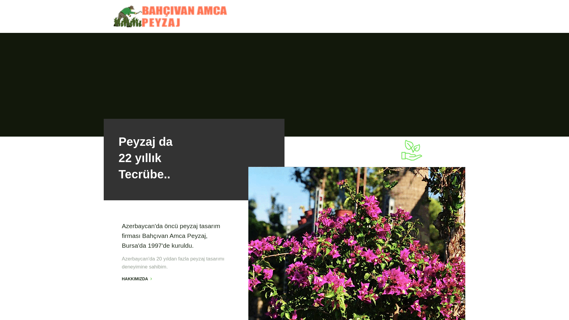 website screenshot of https://cheerfuljokes.lol