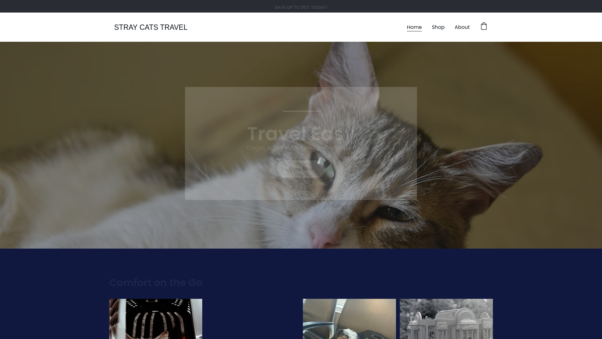 website screenshot of https://straycatstravel.com