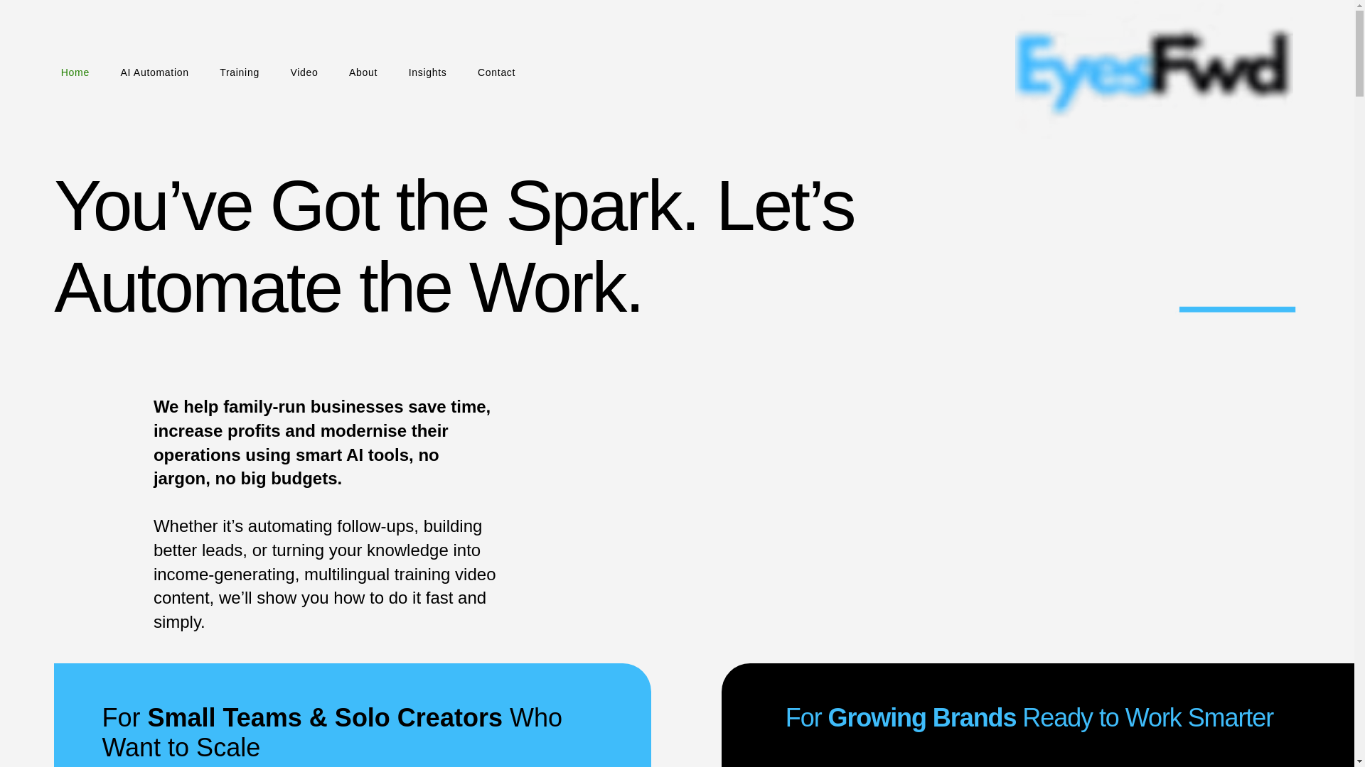 website screenshot of https://eyesfwd.website/