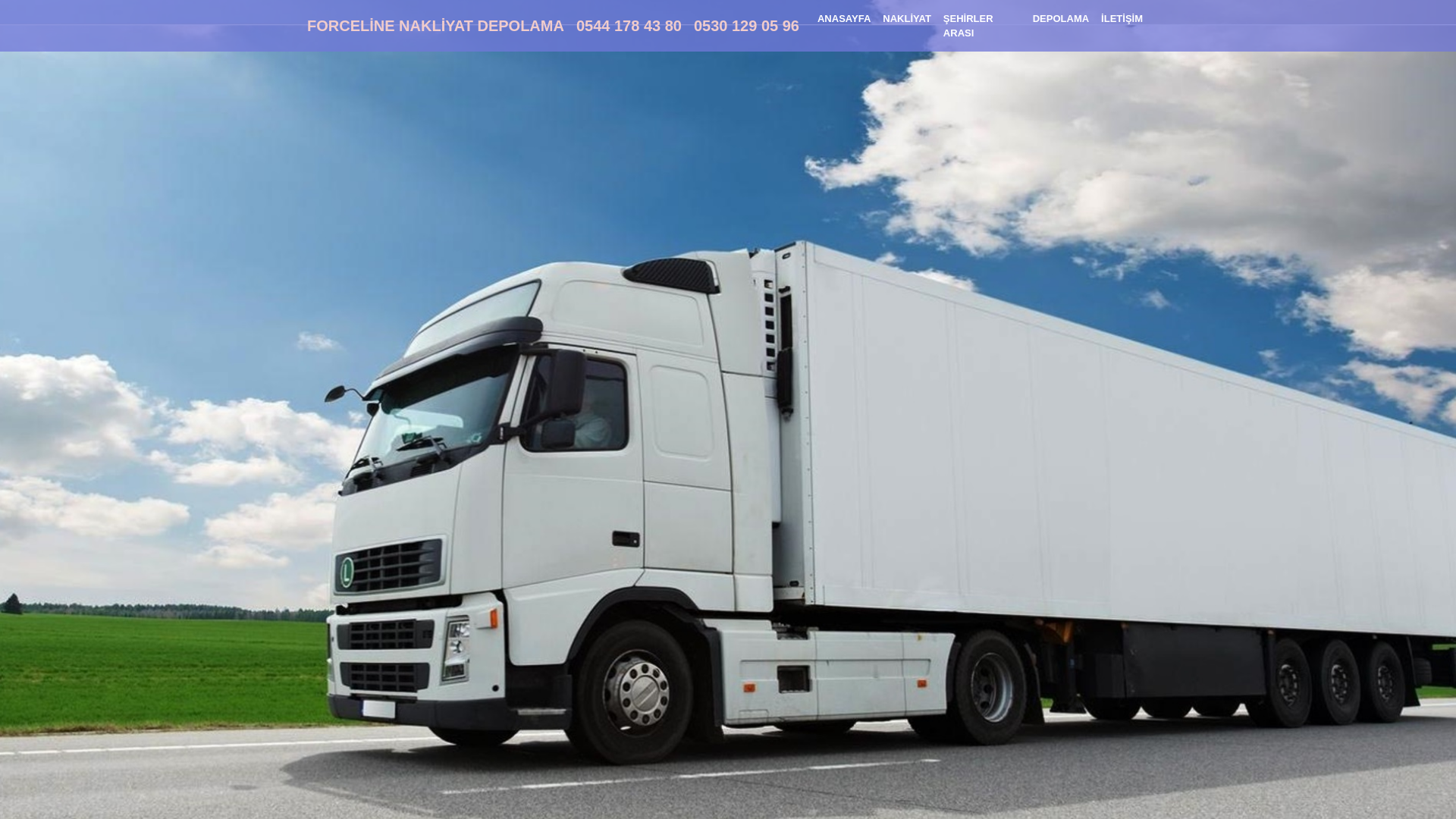 website screenshot of https://forcelinenakliyatdepolama.com.tr/
