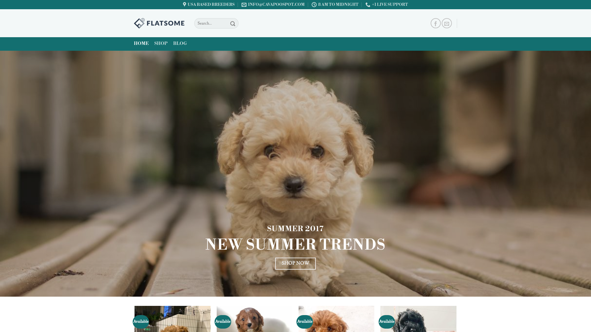 website screenshot of https://cavapoospot.com/