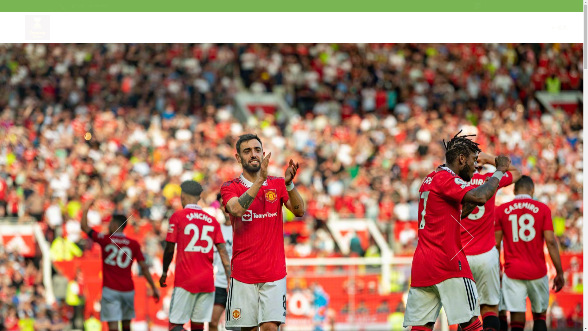 website screenshot of https://web-lanboesport.com/