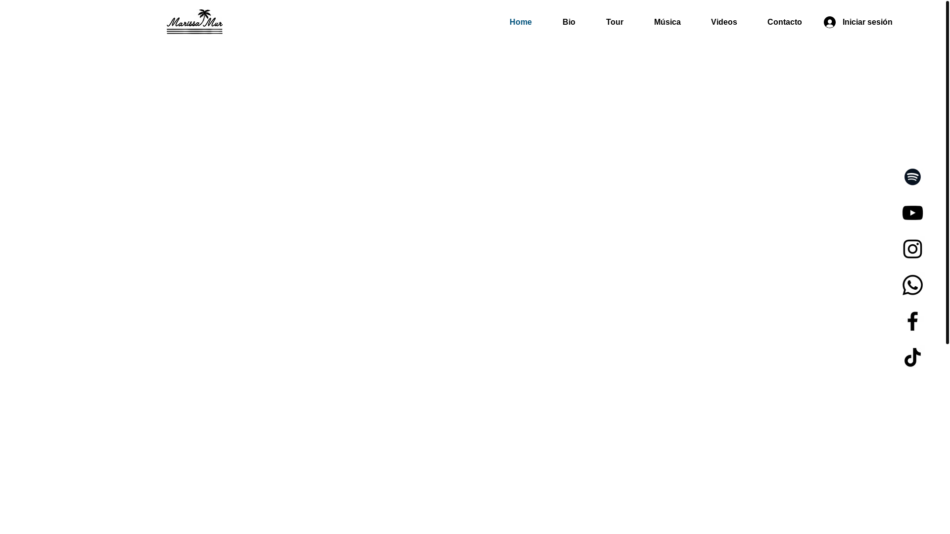 website screenshot of https://moldavitaent.com/