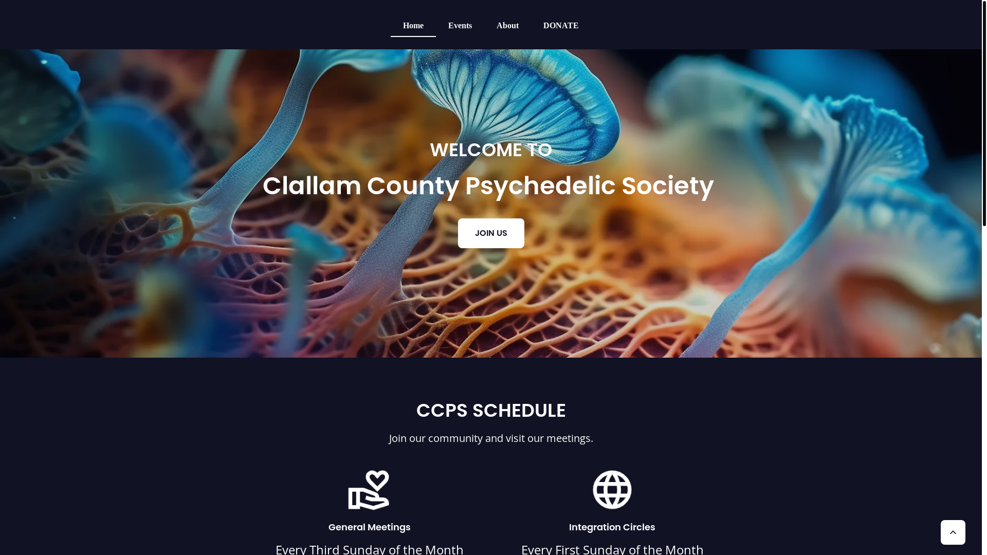 website screenshot of https://clallampsychedelic.org/