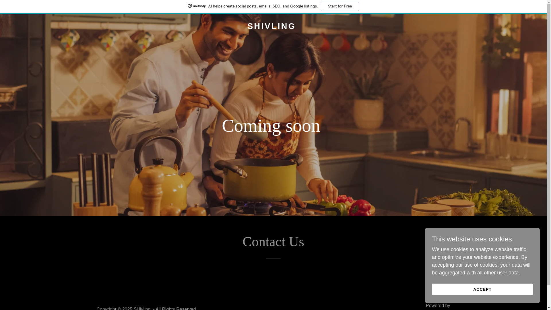 website screenshot of https://shivling.food/