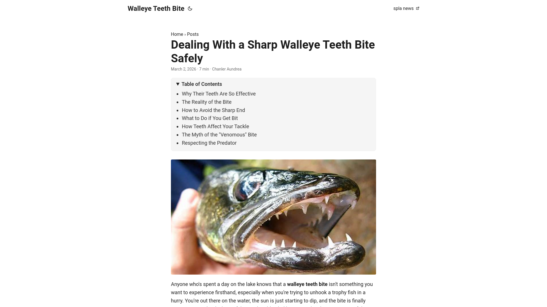 website screenshot of https://walleye-teeth-bite.pages.dev/