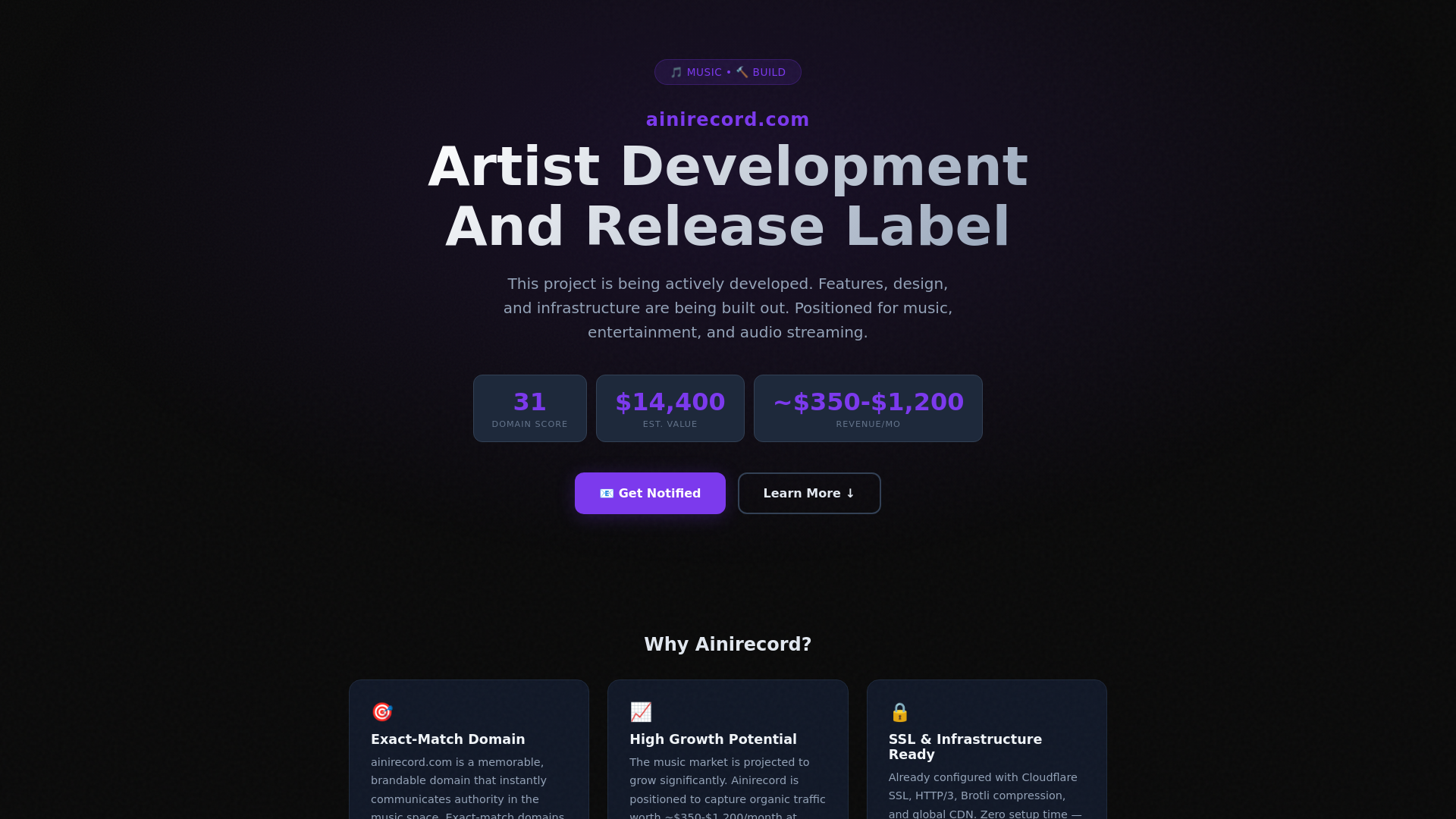 website screenshot of https://ainirecord.com/