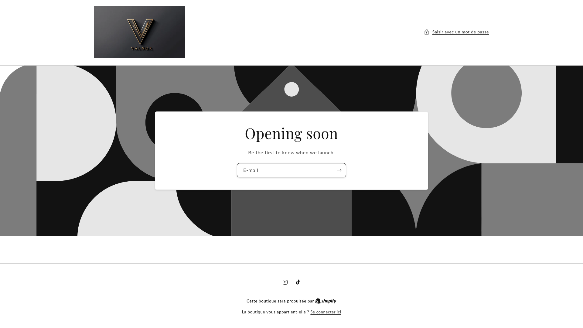 website screenshot of https://valnor.website/