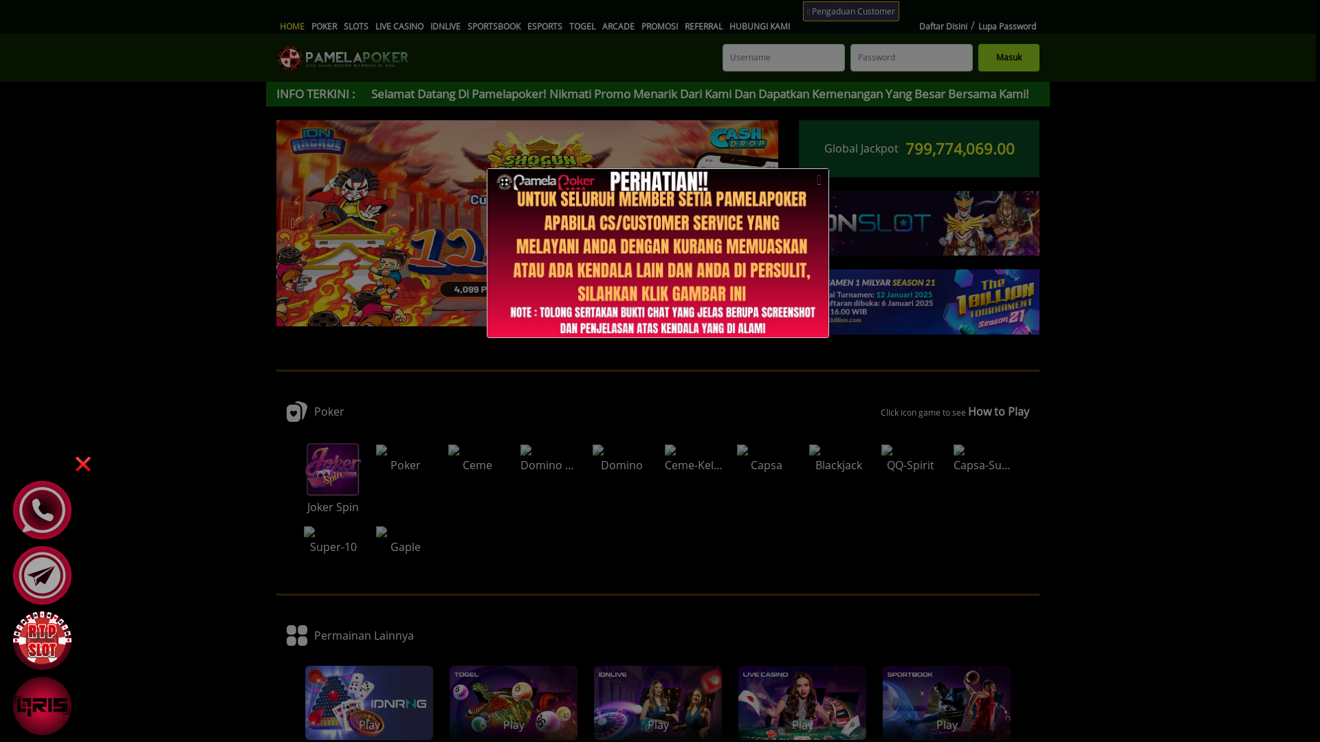 website screenshot of https://pamelar.site/