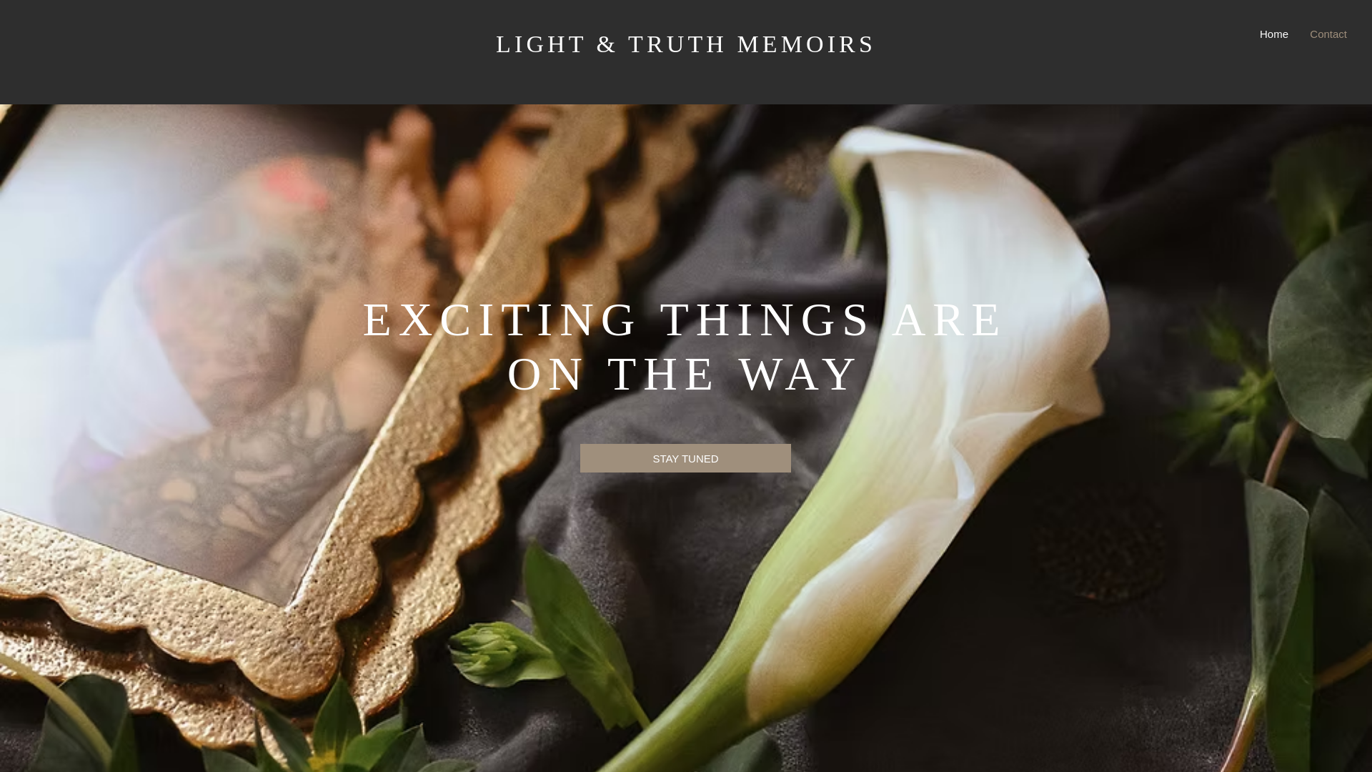 website screenshot of https://lightandtruthmemoirs.com