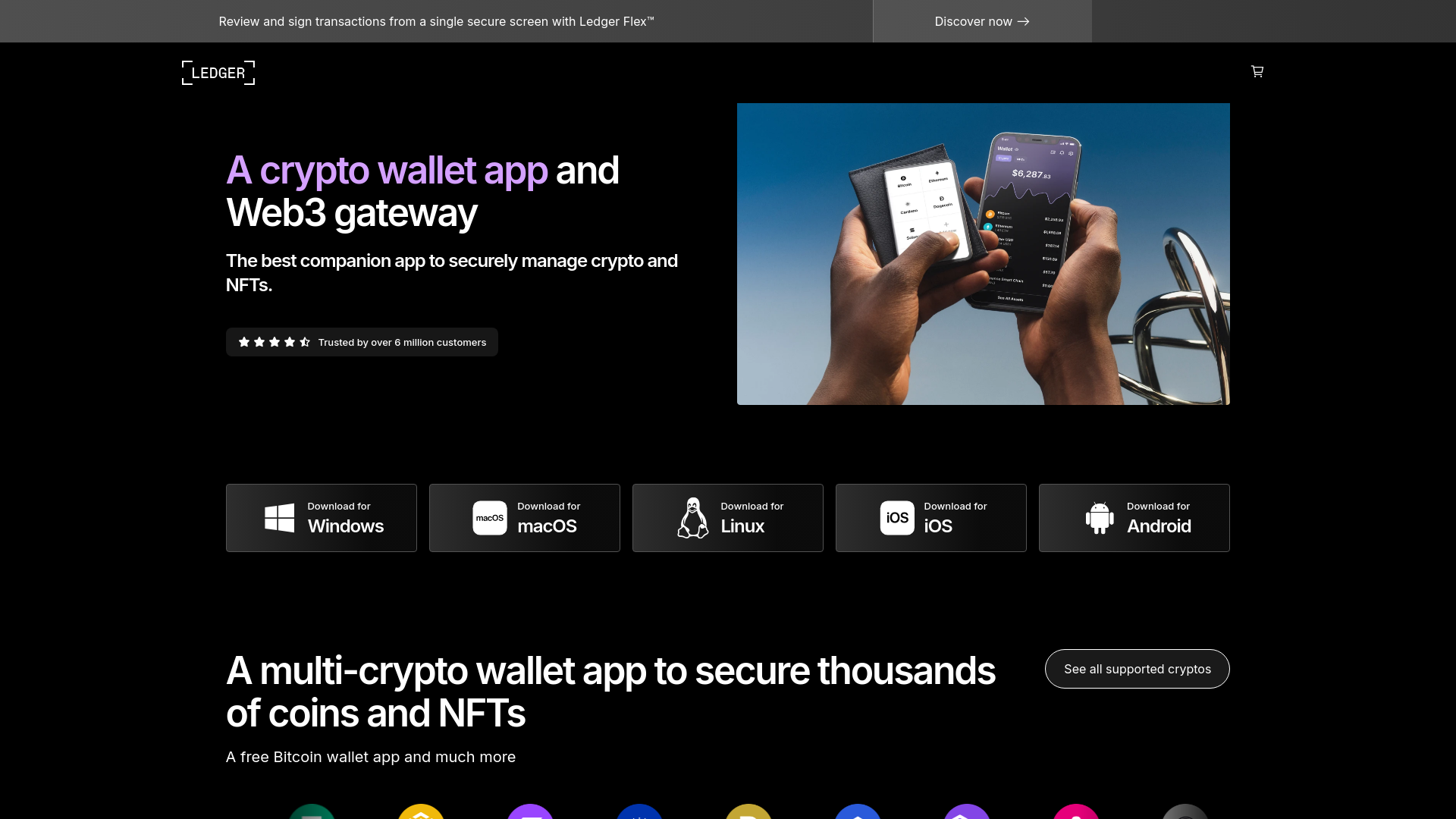 website screenshot of https://www-ledger-app.live
