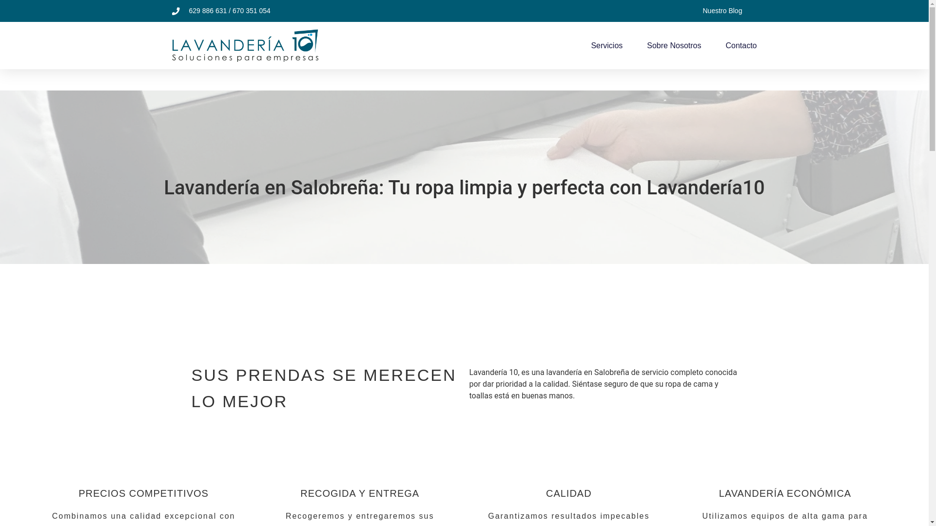 website screenshot of https://lavanderia10.es/
