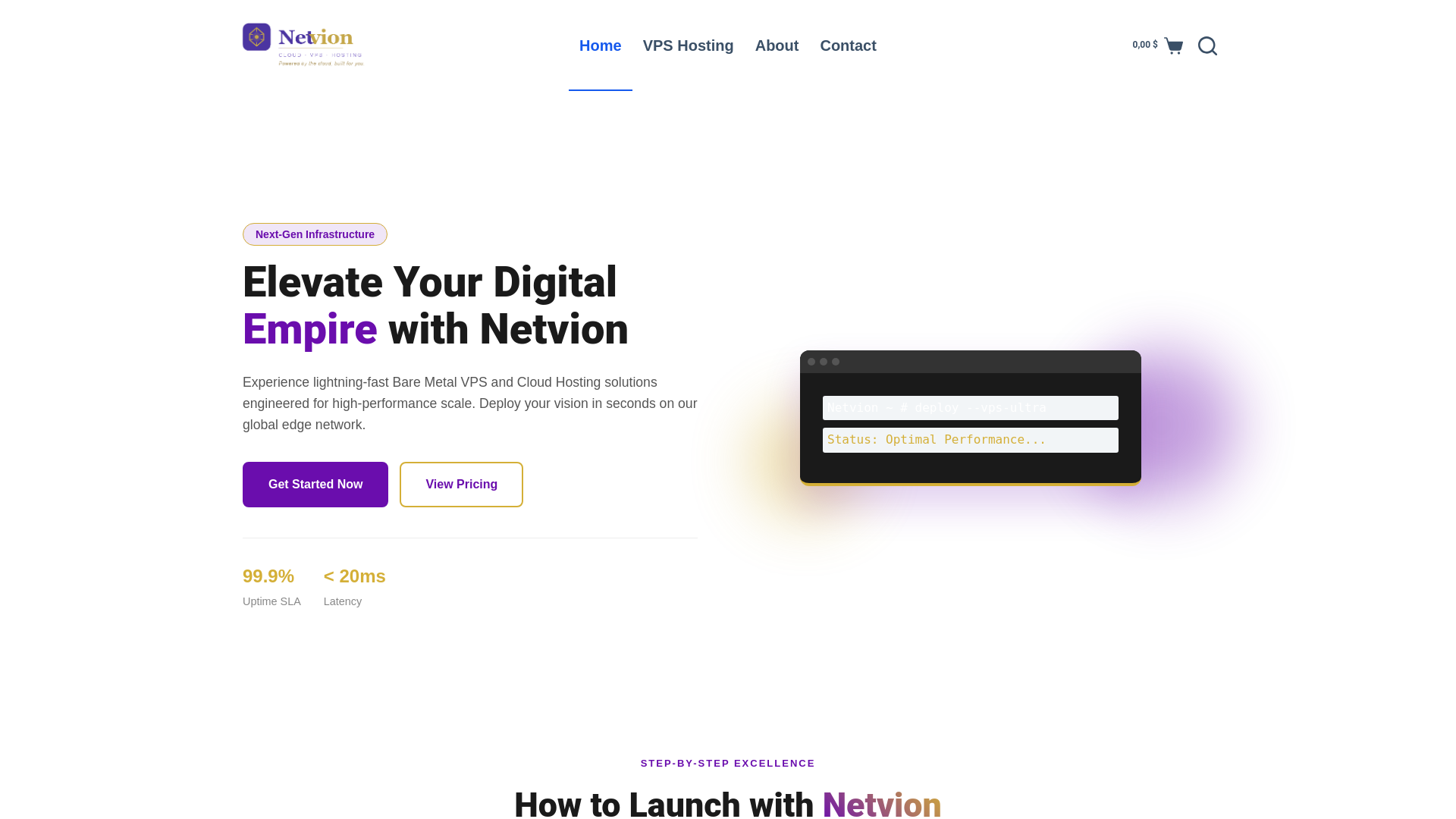 website screenshot of https://netvion.site