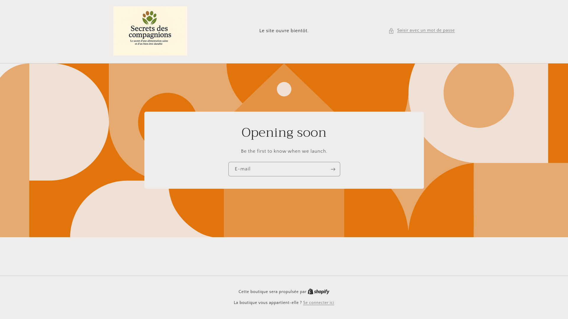 website screenshot of https://secretsdescompagnions.com